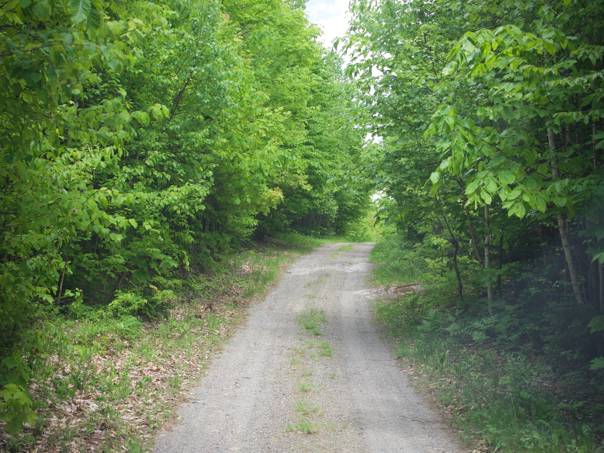 P1060410.jpg