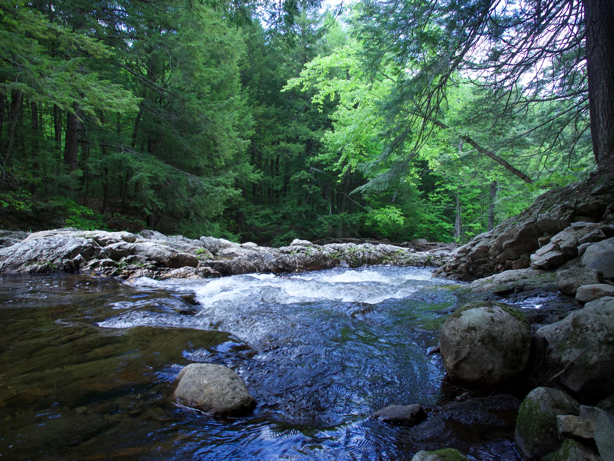 P1060435.jpg