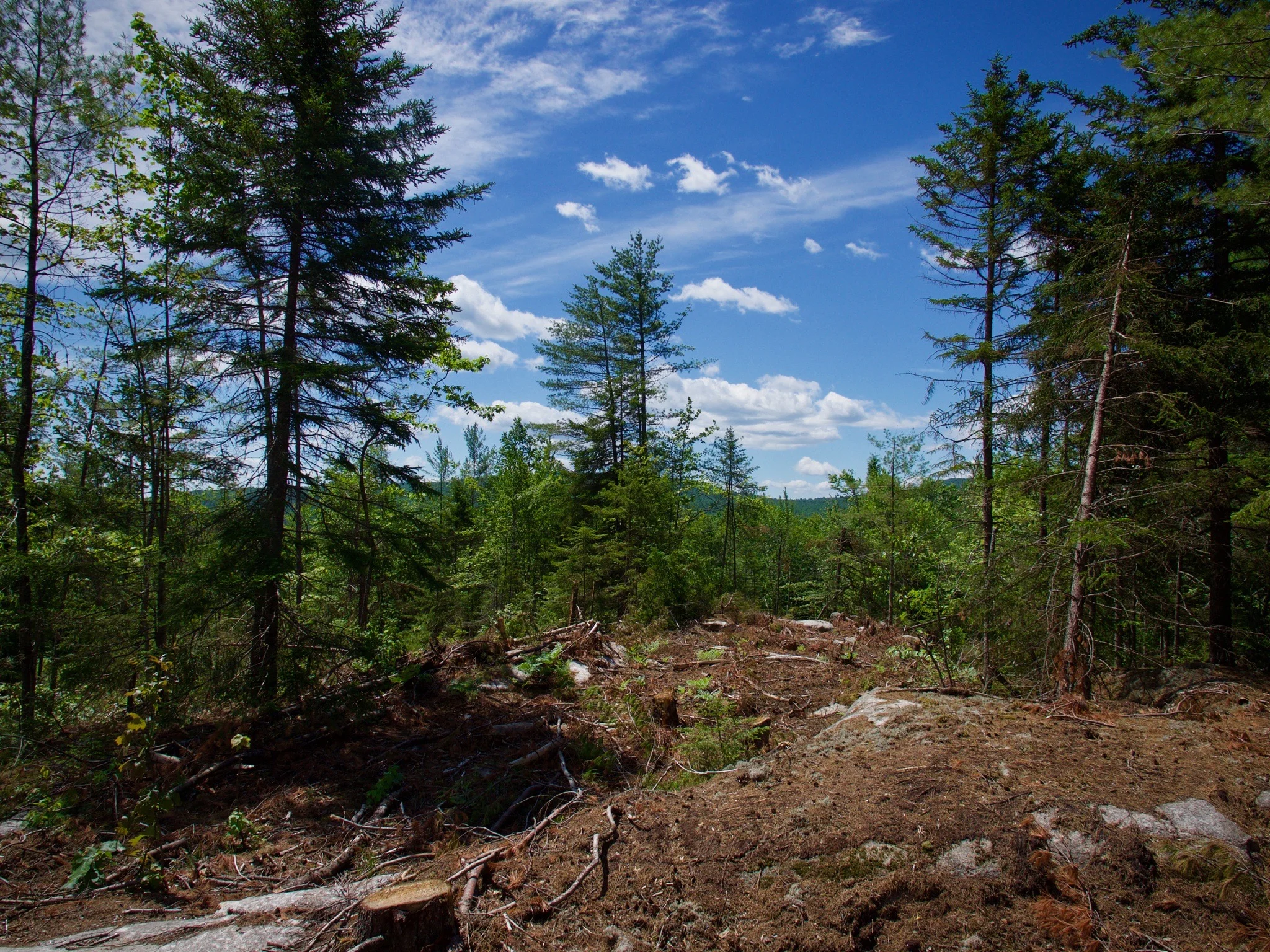 P1060754.jpg