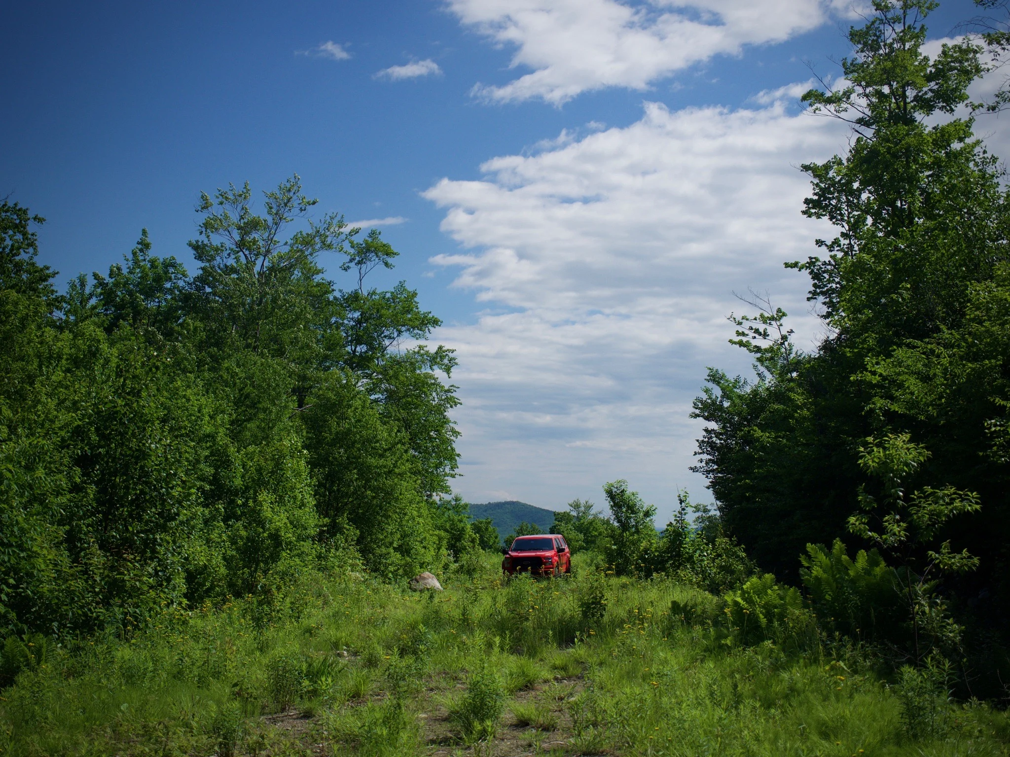 P1060634.jpg