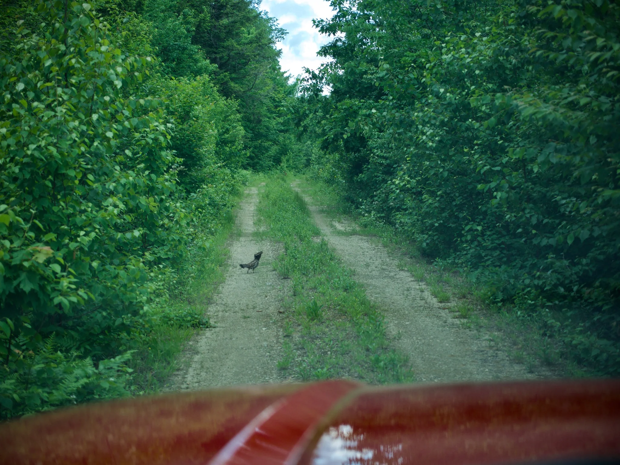 P1060656.jpg