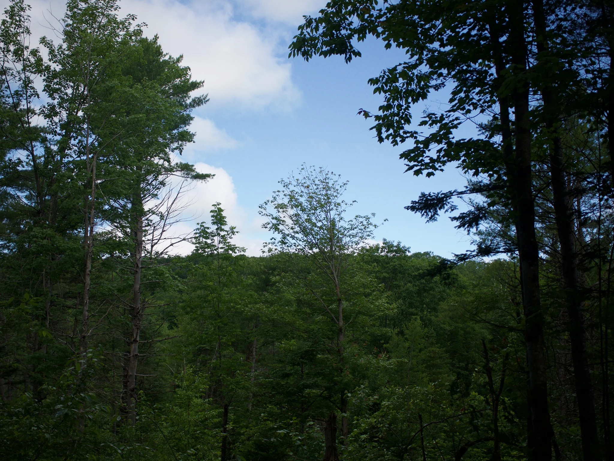P1070014.jpg