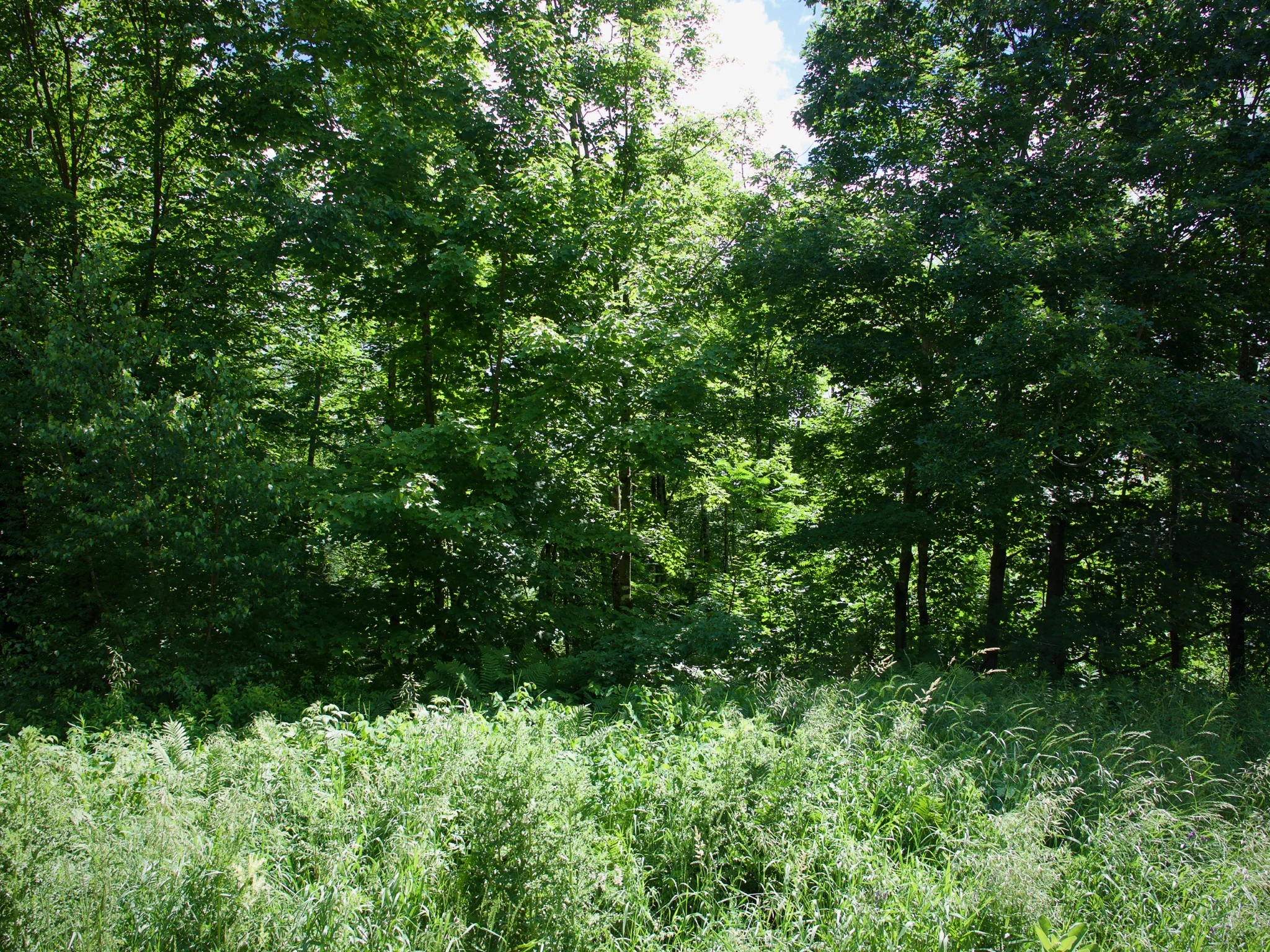P1070060.jpg