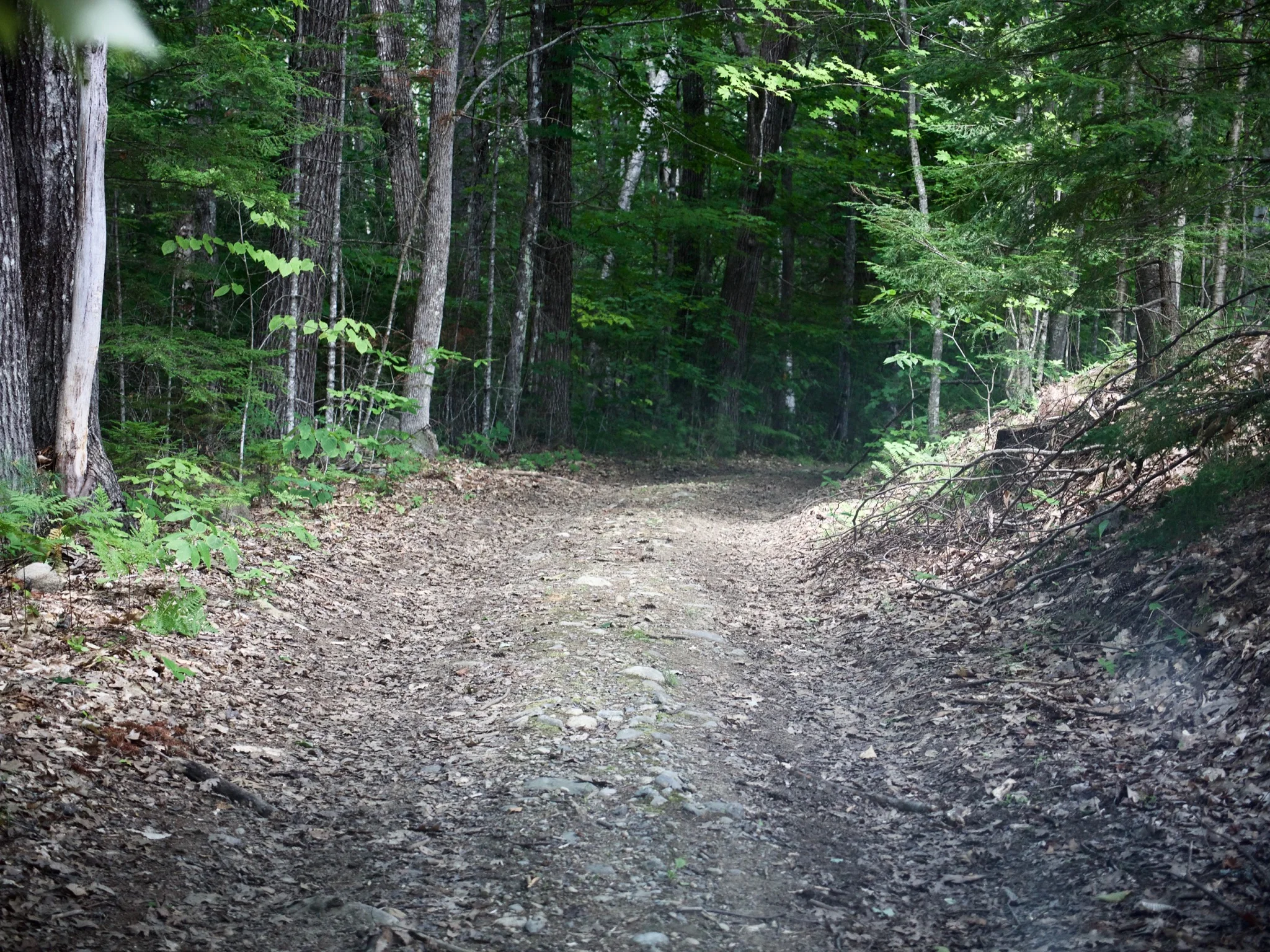 P1070201.jpg