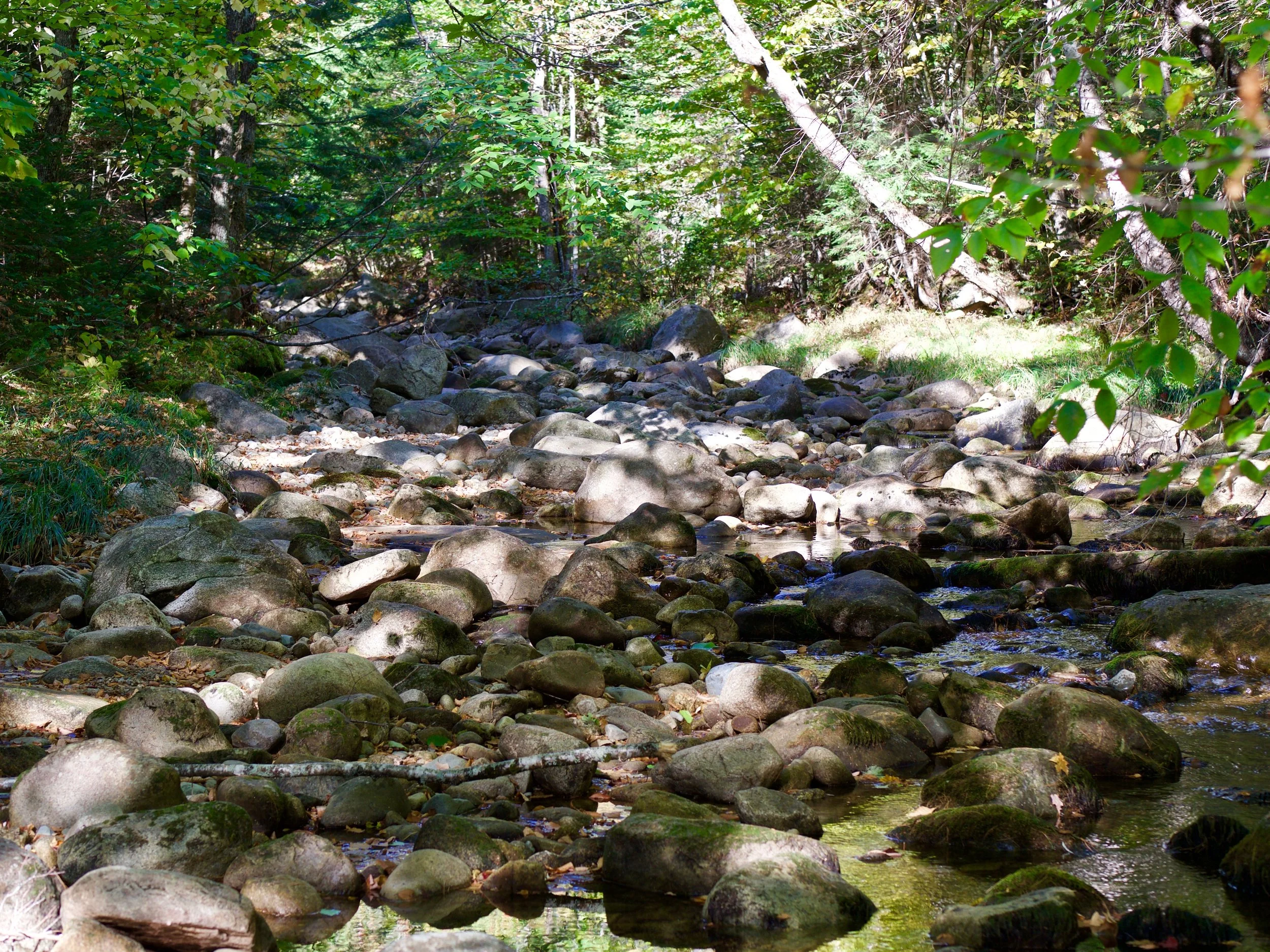 P1070565.jpg