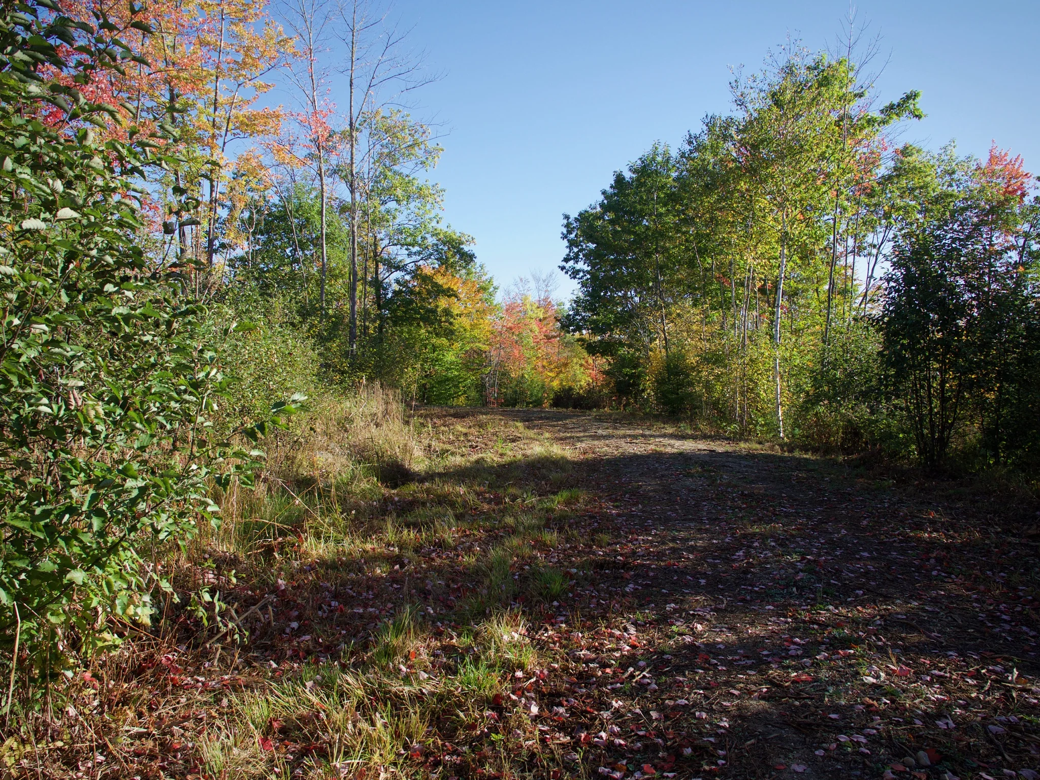 P1070841.jpg