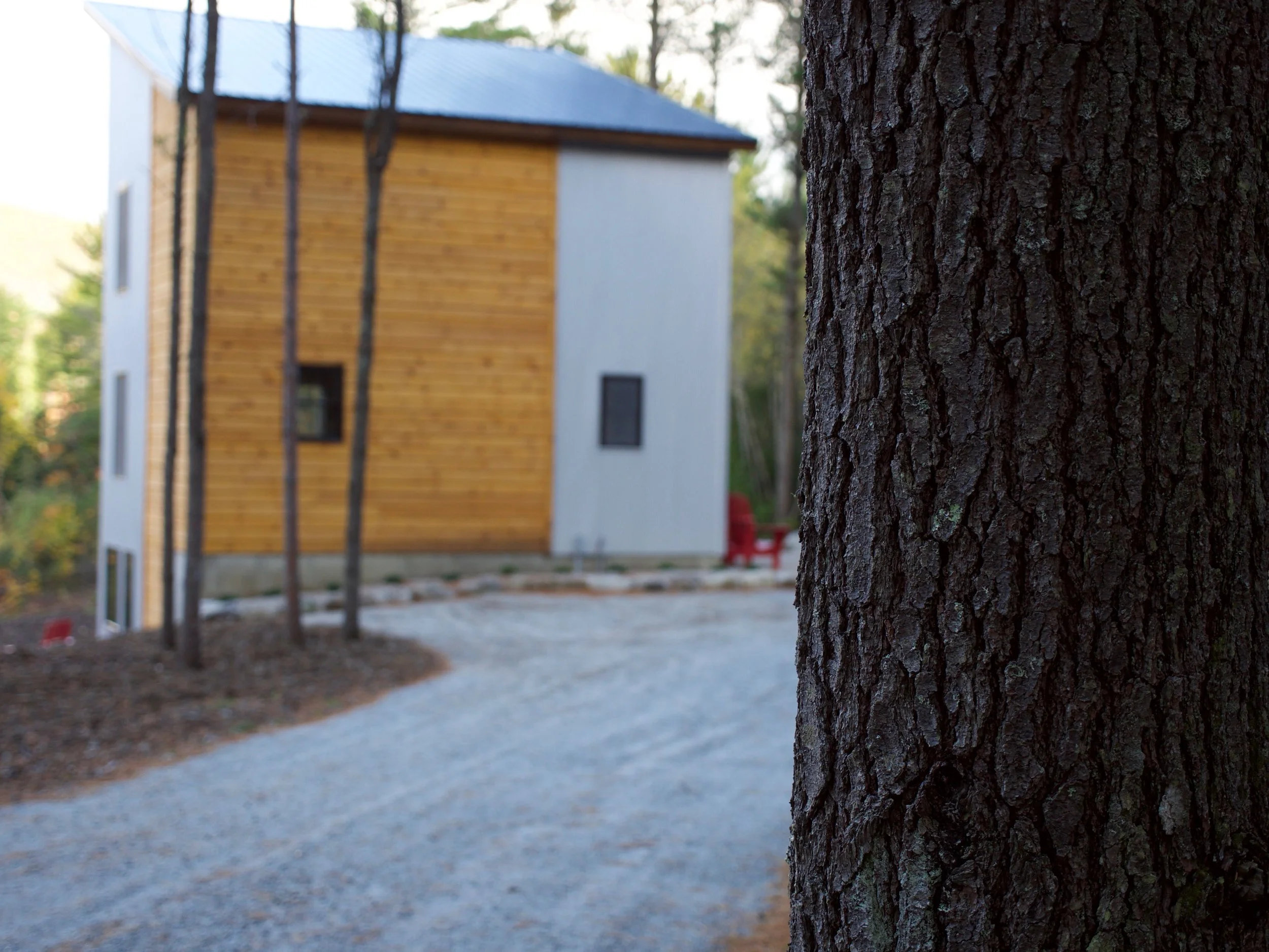 P1070643.jpg