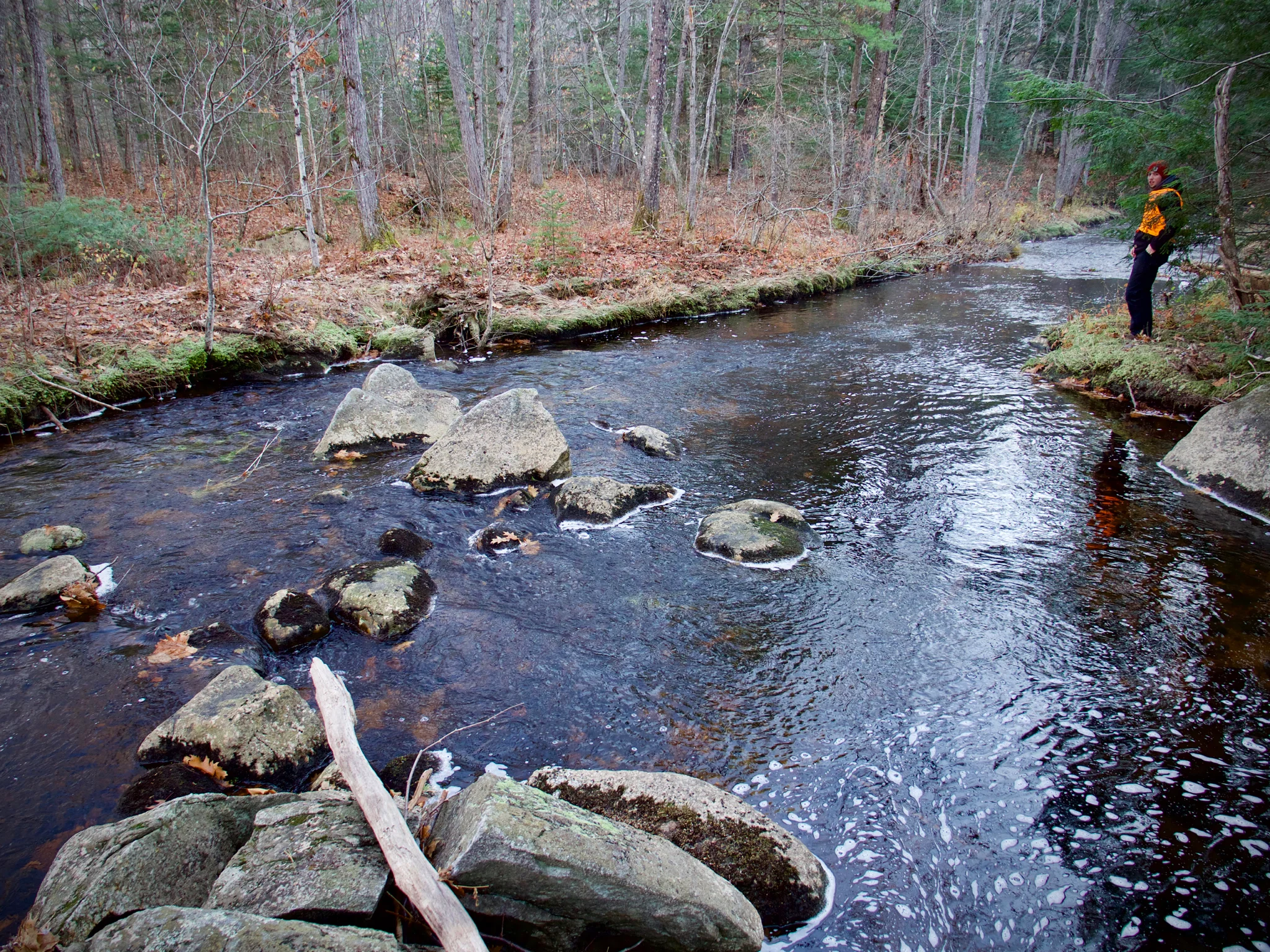 P1080585.jpg