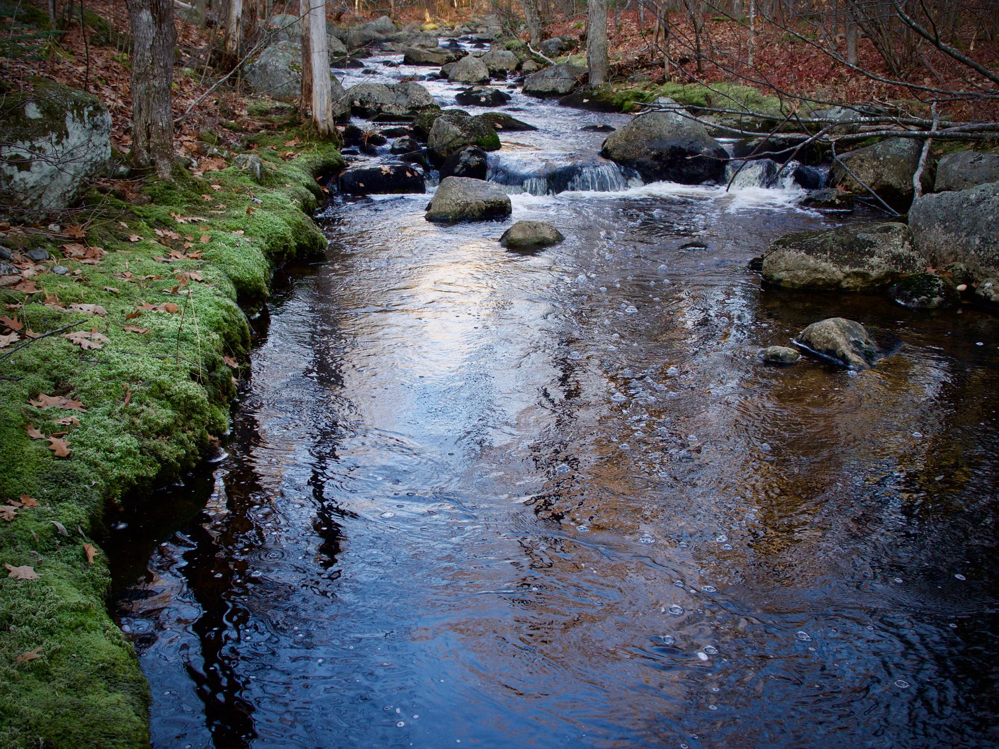 P1080589.jpg