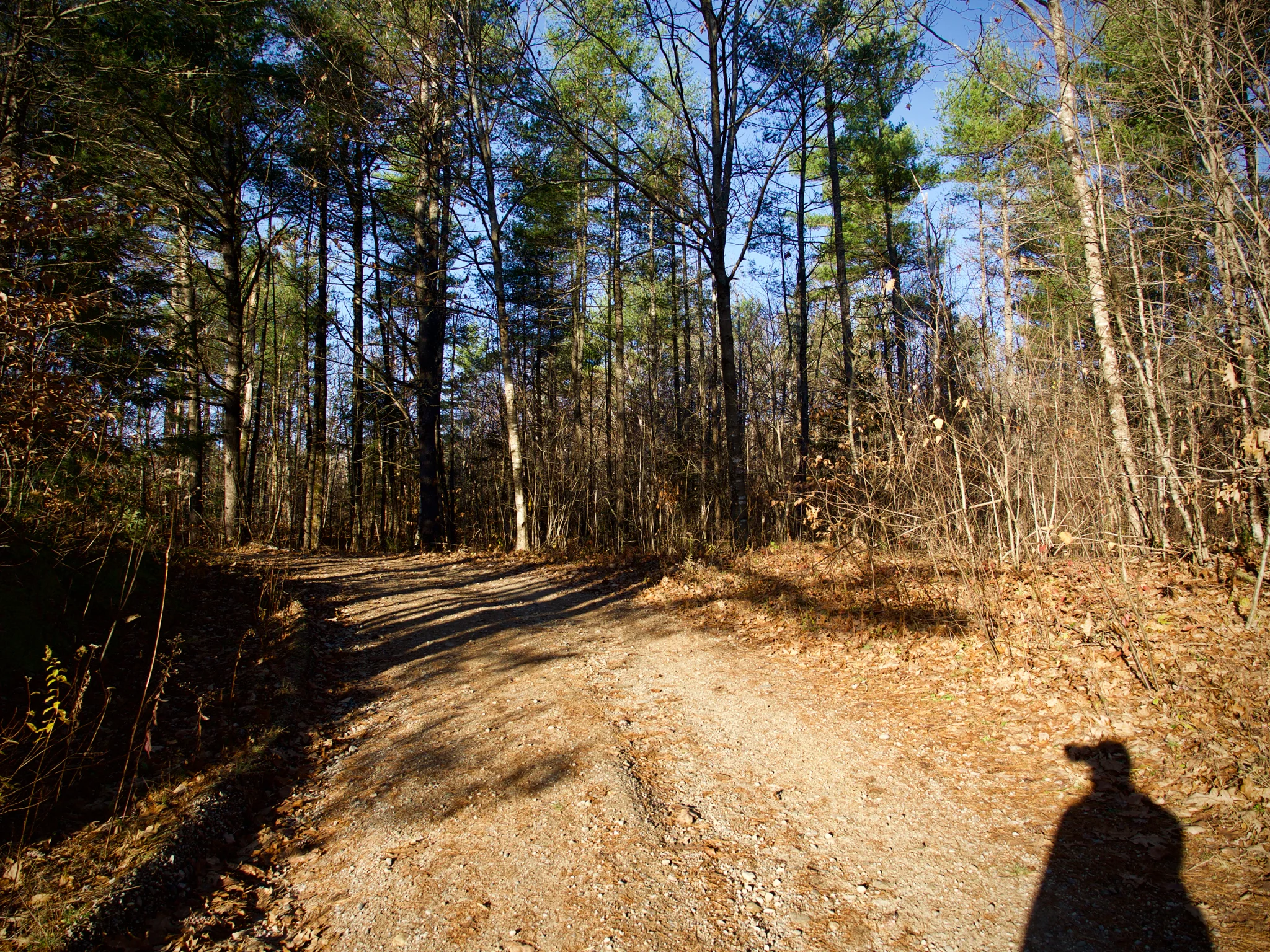 P1080610.jpg