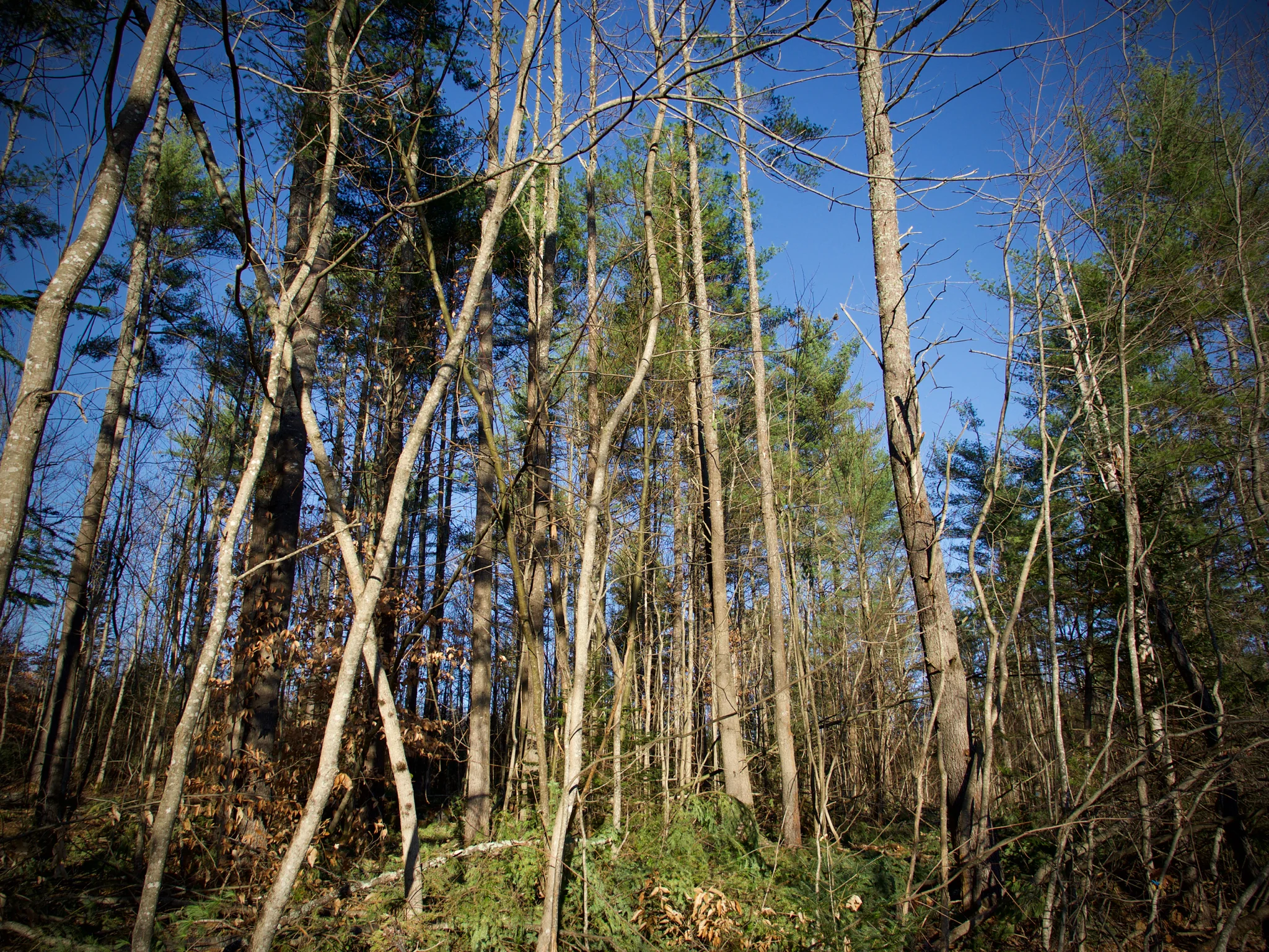 P1080623.jpg