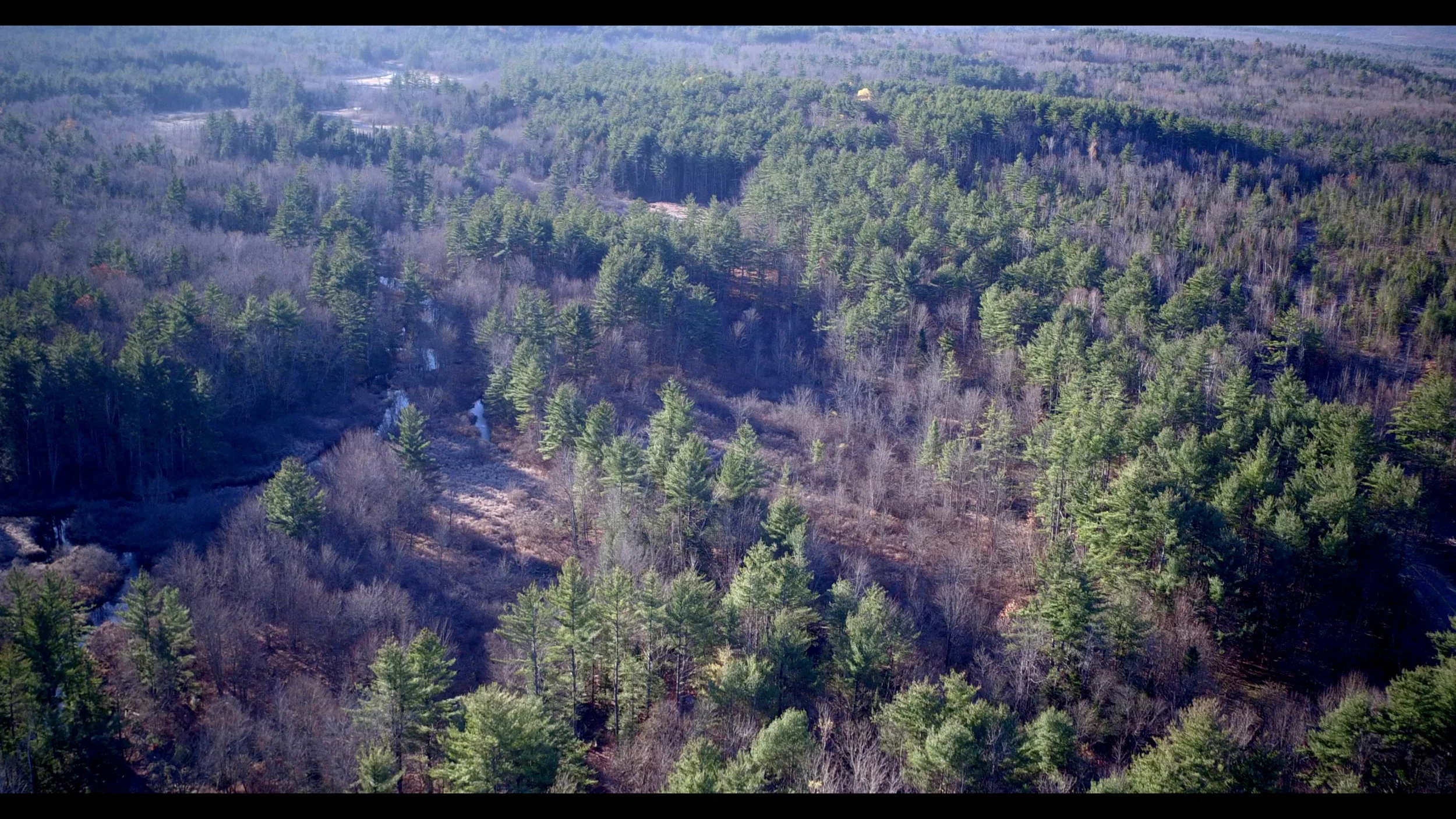Sumner 61 Acres 1.jpg