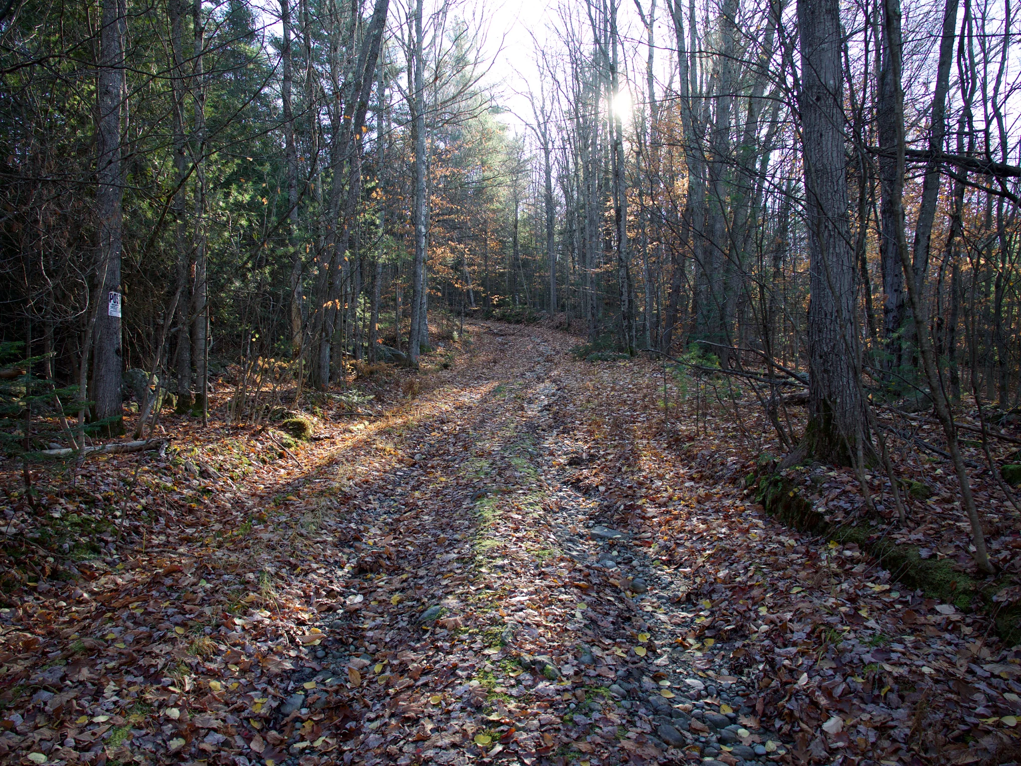 P1080639.jpg