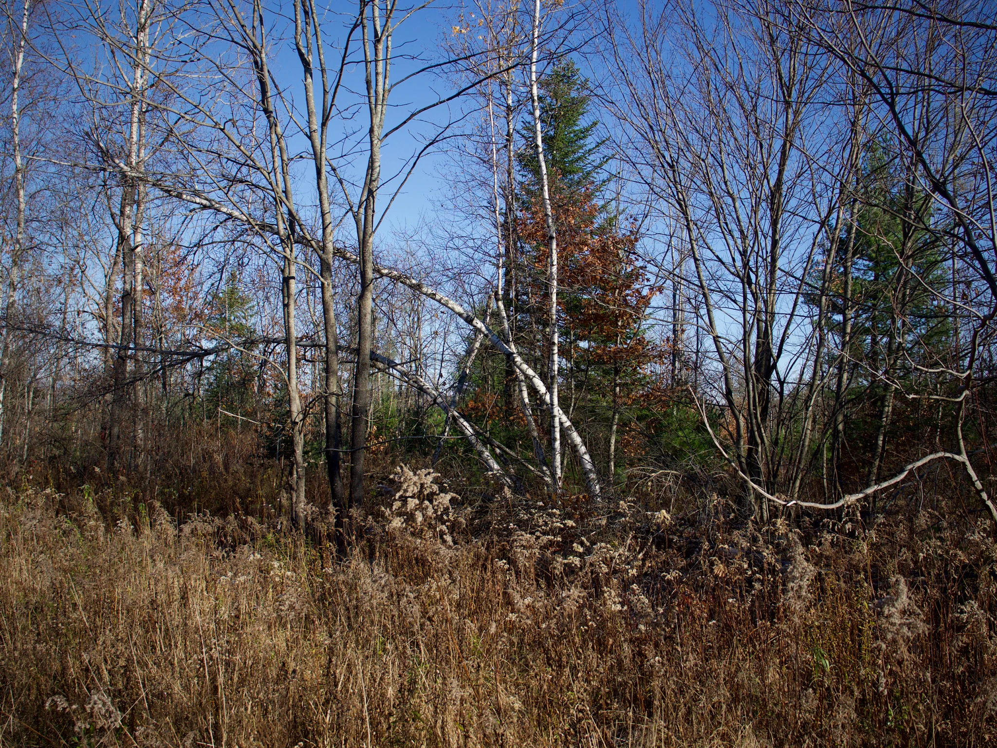 P1080655.jpg