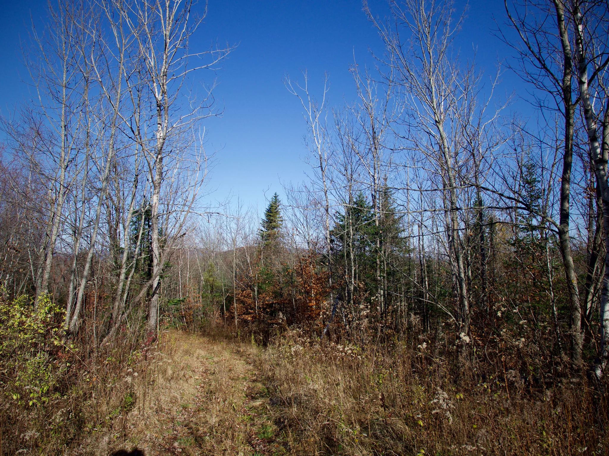 P1080667.jpg