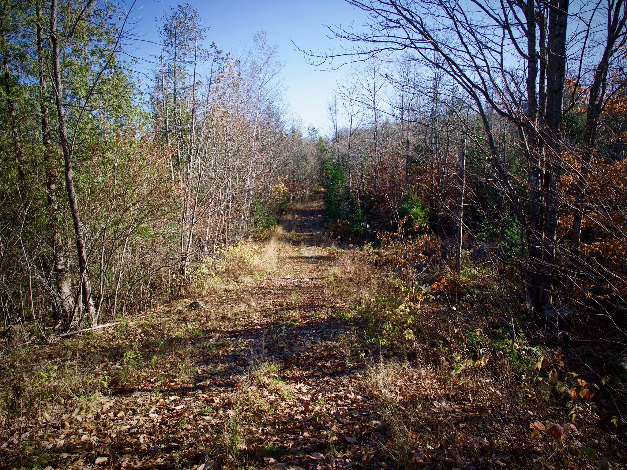 P1080675.jpg