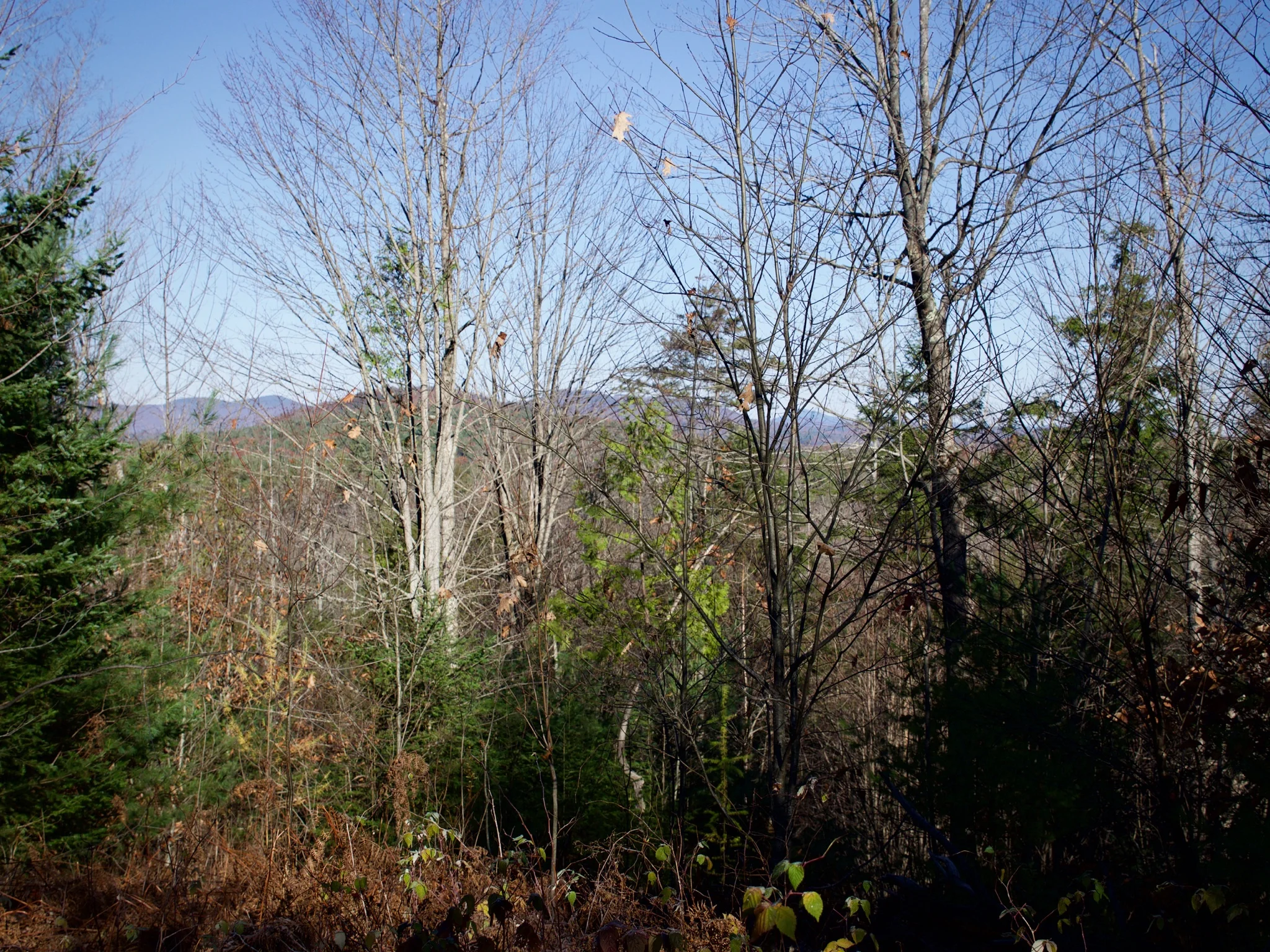 P1080676.jpg