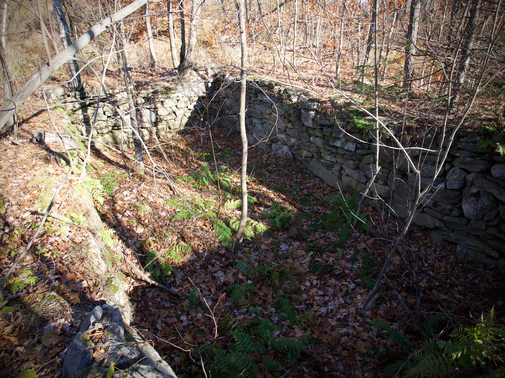 P1080684.jpg