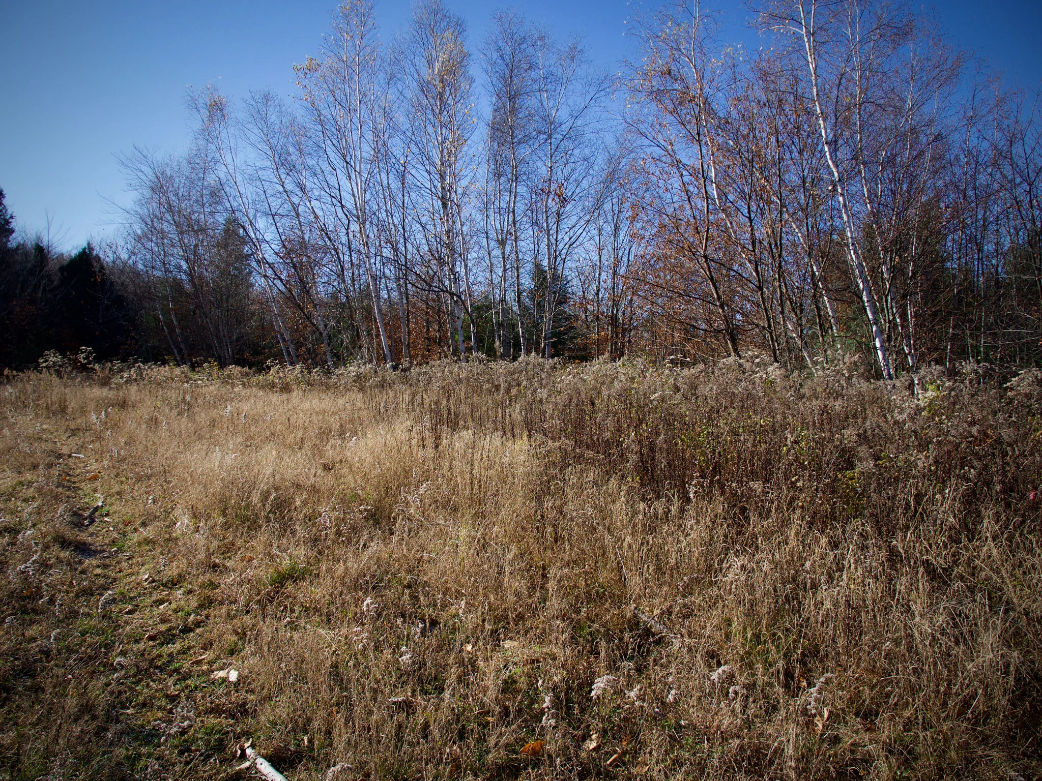 P1080714.jpg