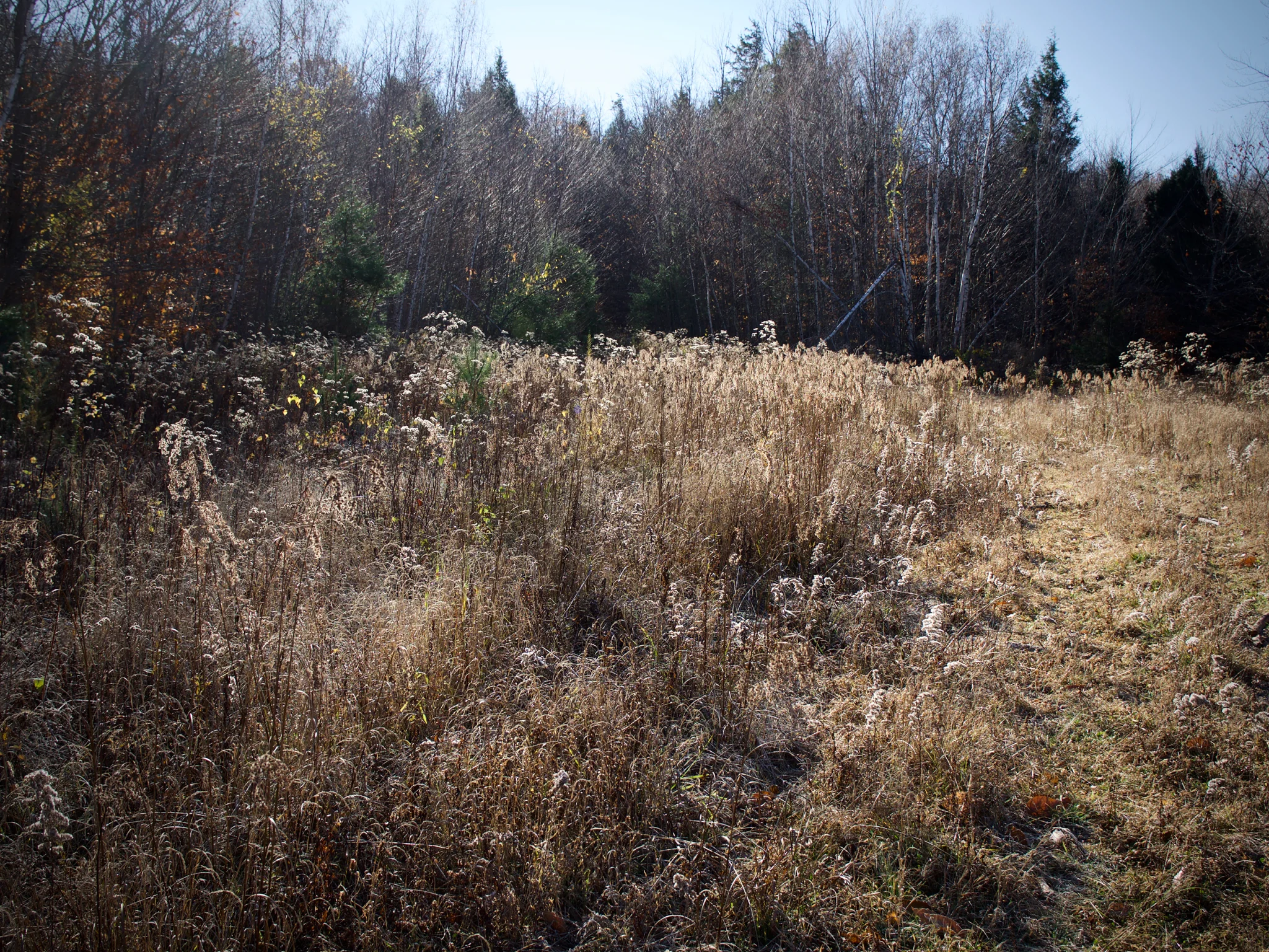 P1080715.jpg