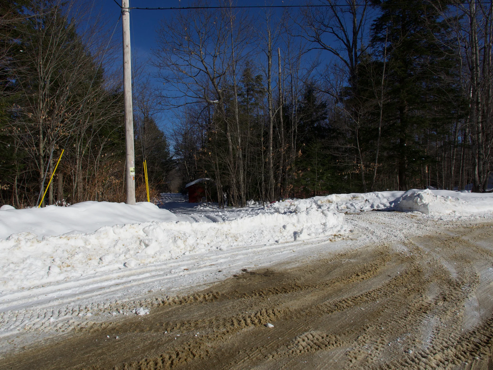 P1090159.jpg