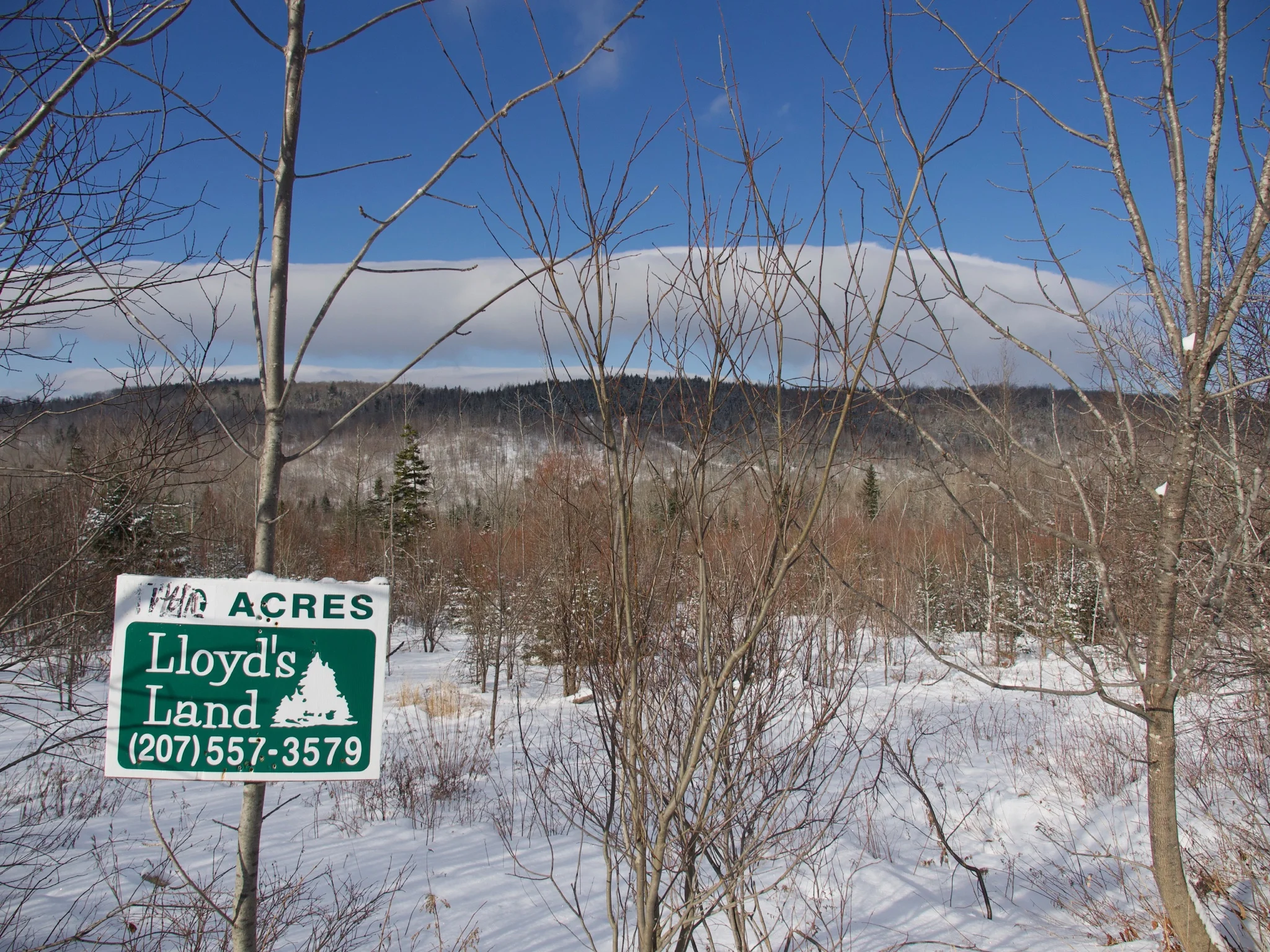 P1090188.jpg