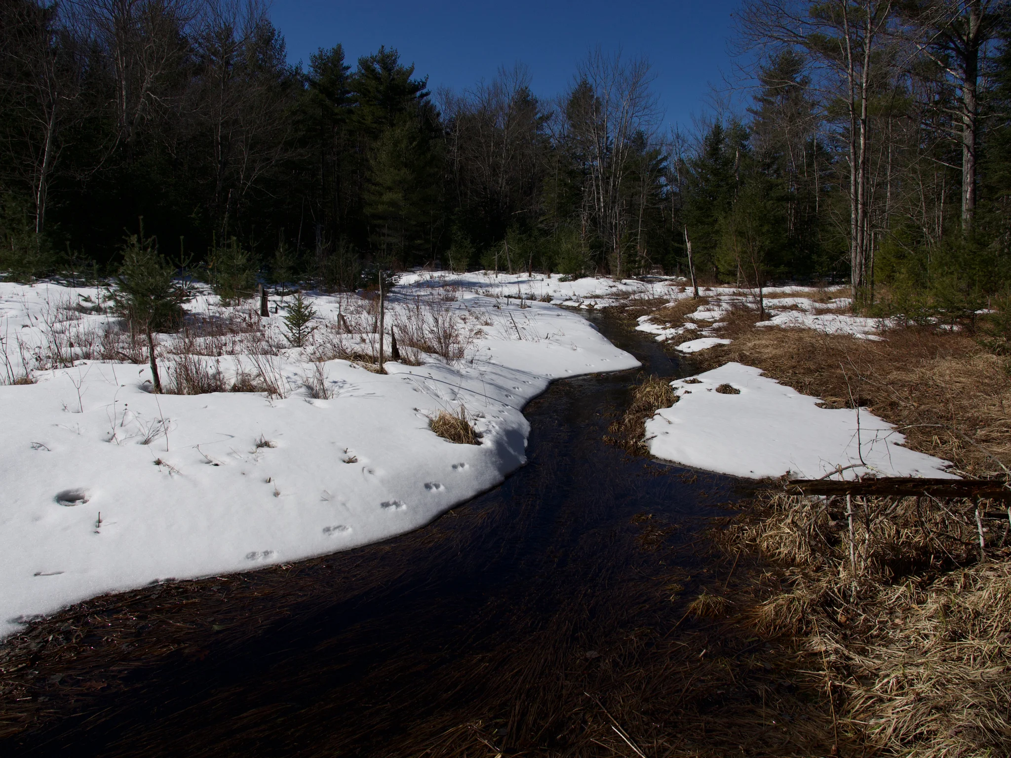 P1090424.jpg