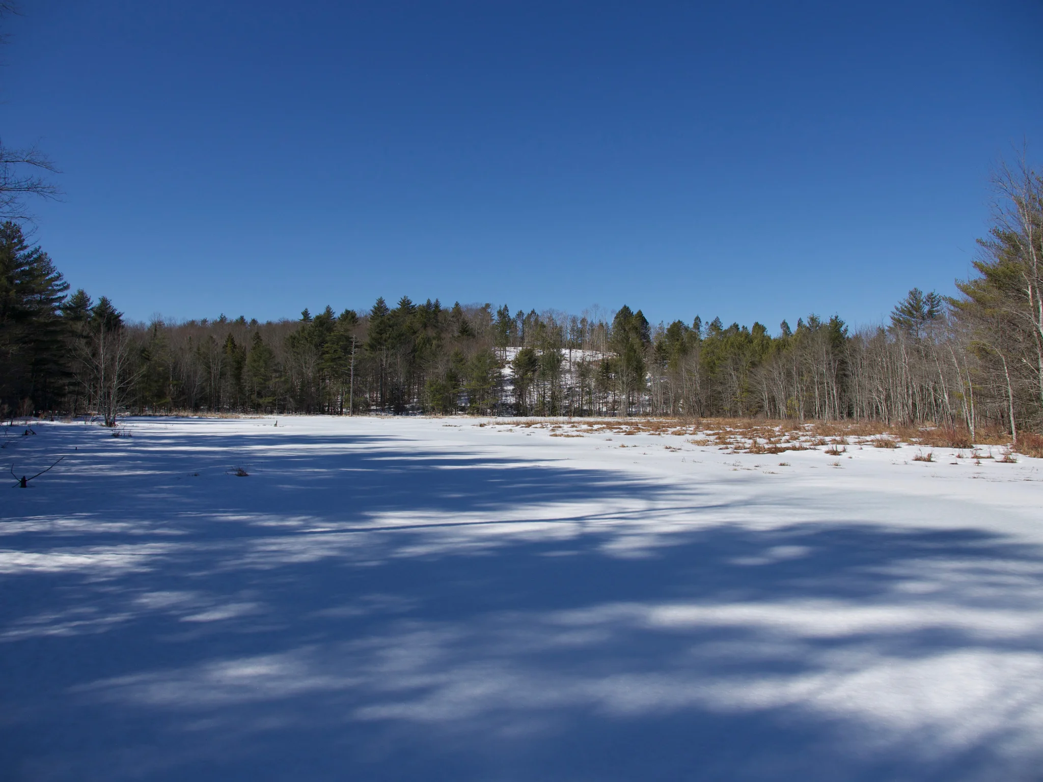 P1090439.jpg