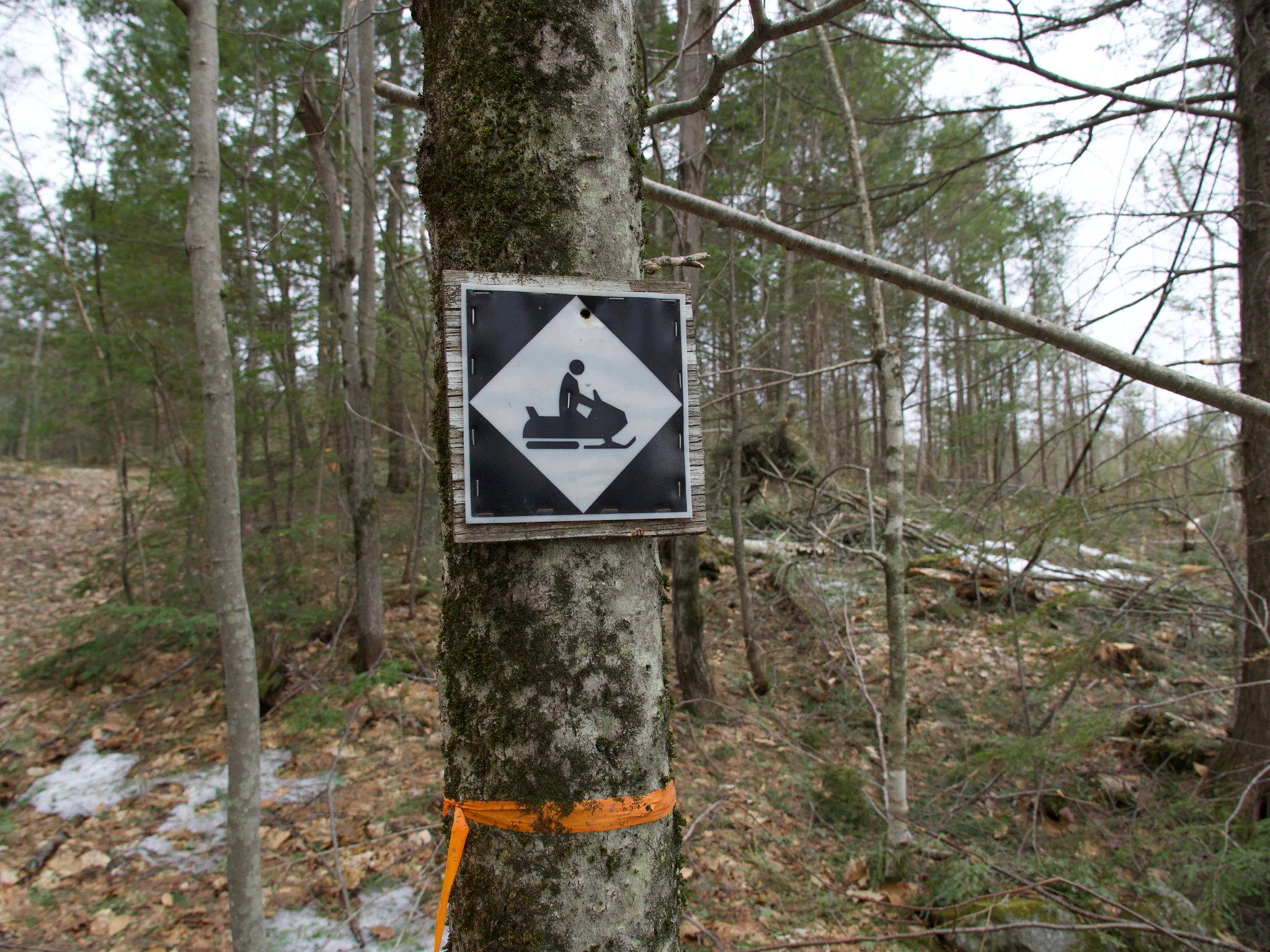 P1090589.jpg