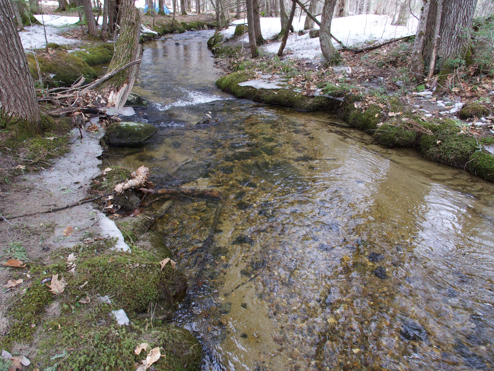 P1090600.jpg