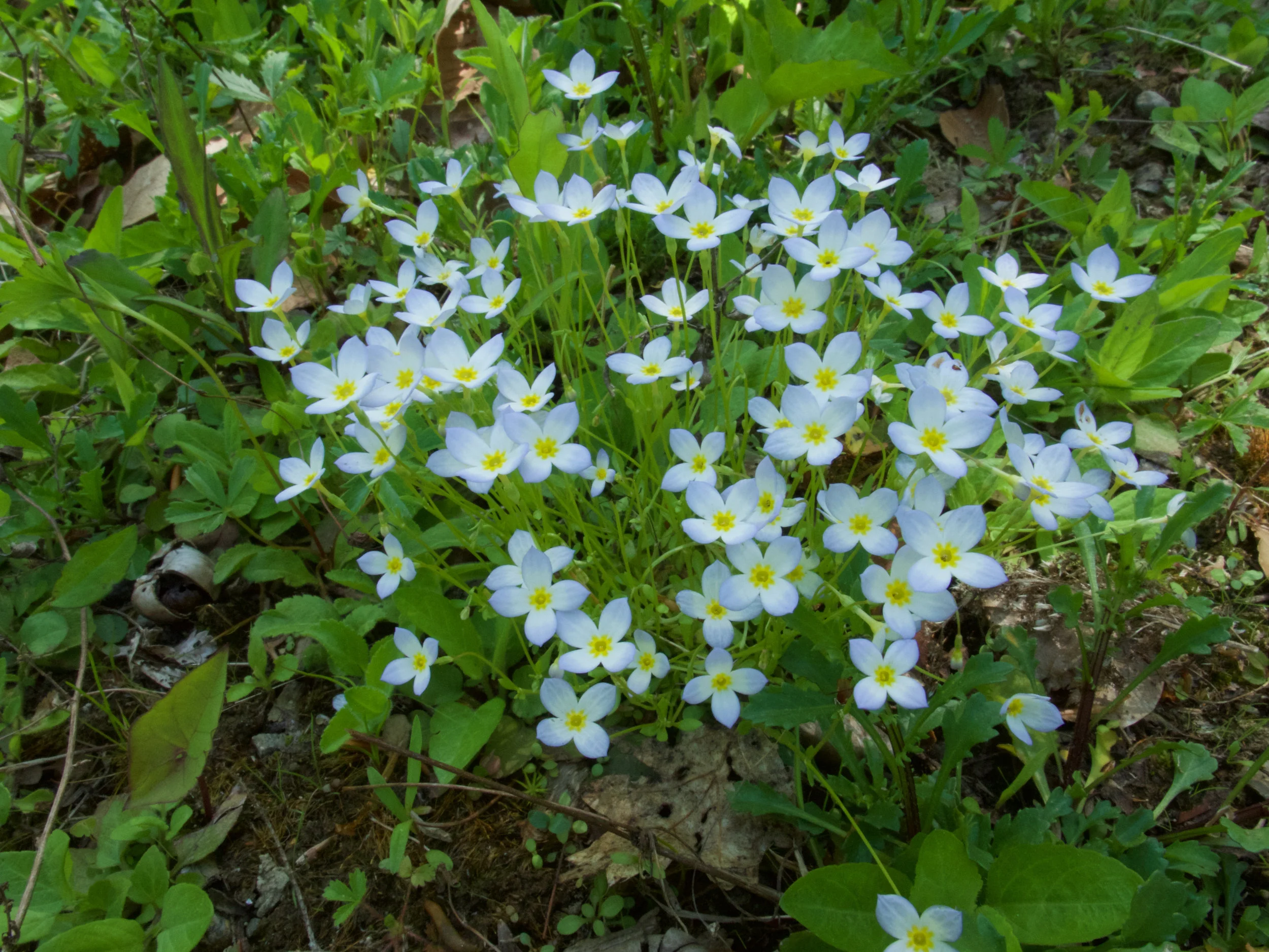 P1110156.jpg