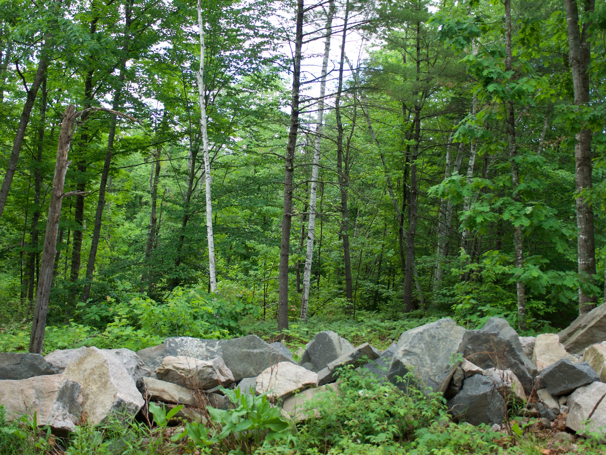 P1110327.jpg
