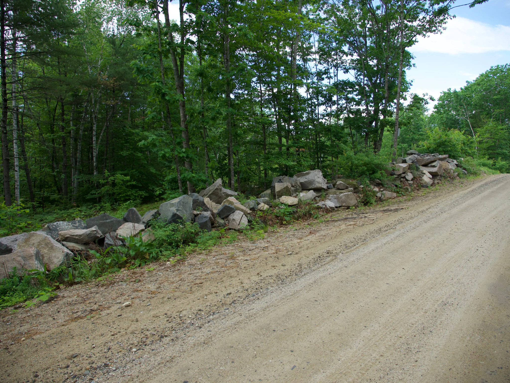 P1110326.jpg