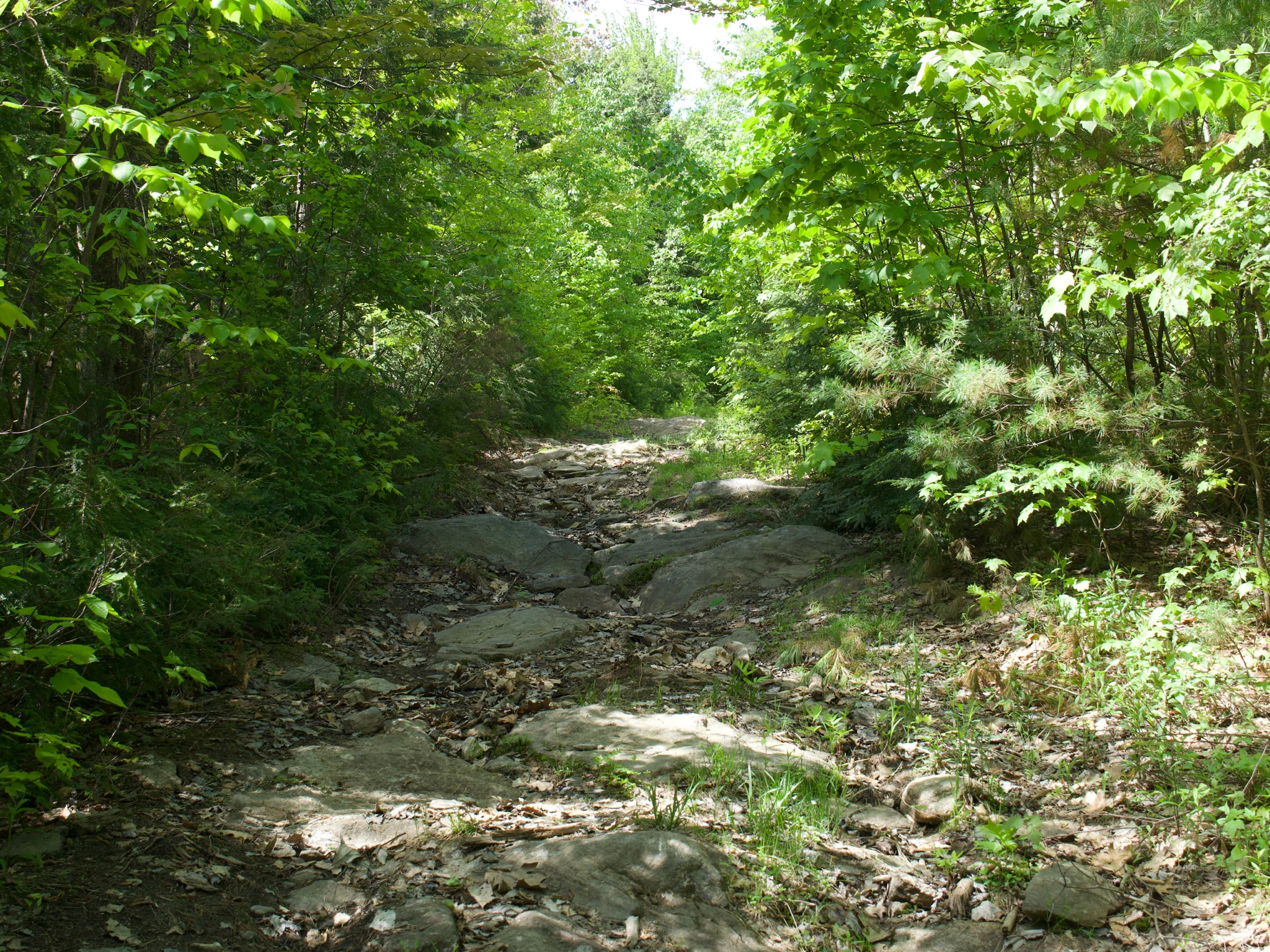 P1140522.jpg