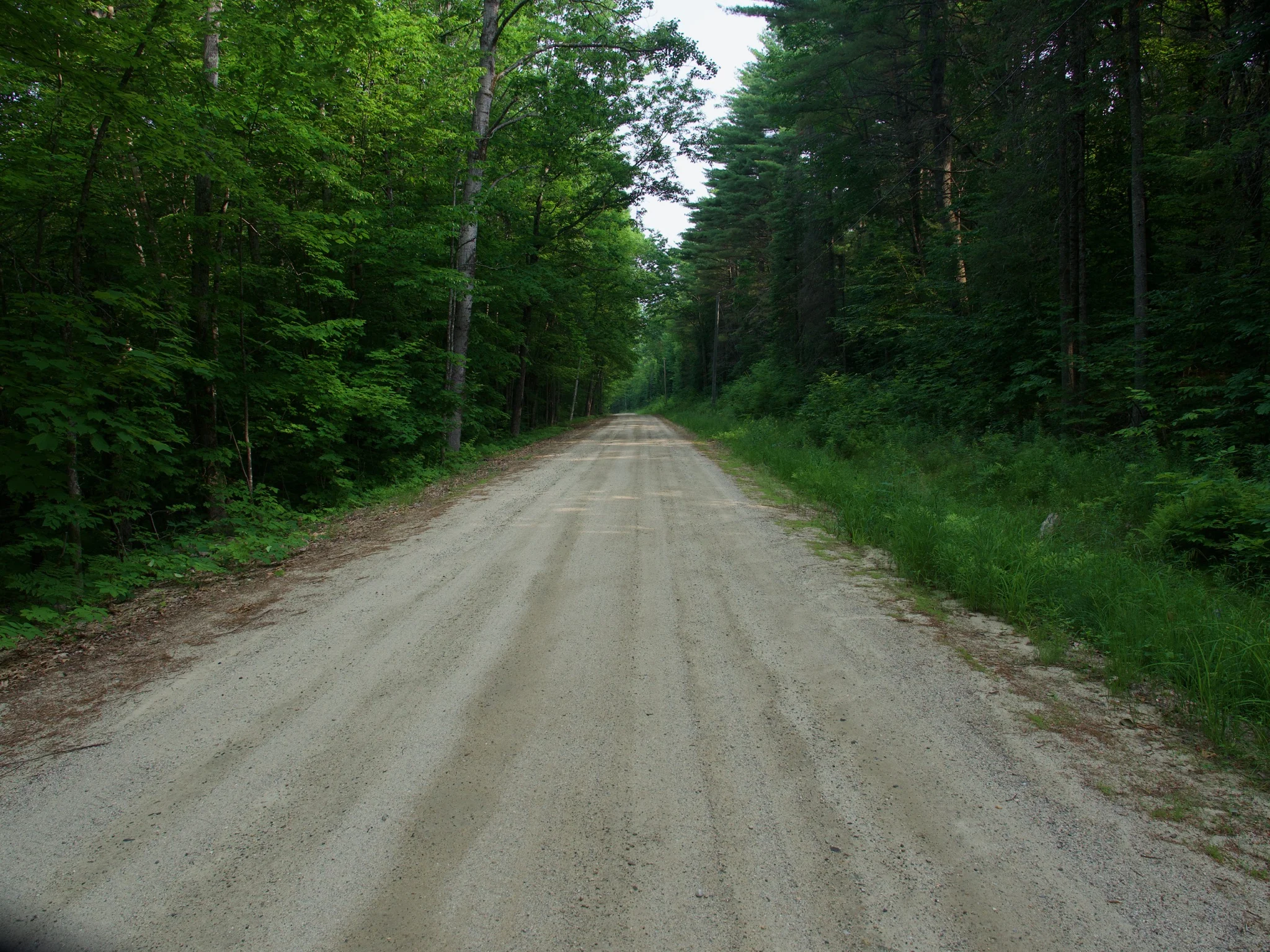 P1140536.jpg