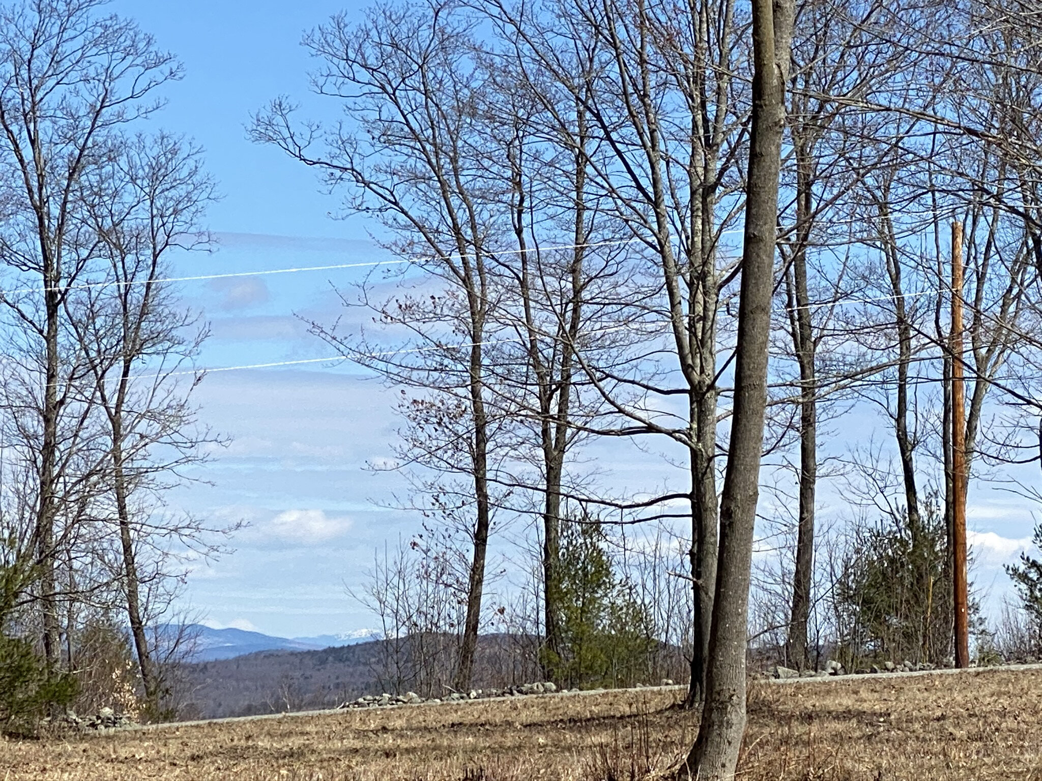 PHOTO TAKEN WHILE STANDING ON THIS LOT LOOKING BACK TOWARDS THE ROAD.