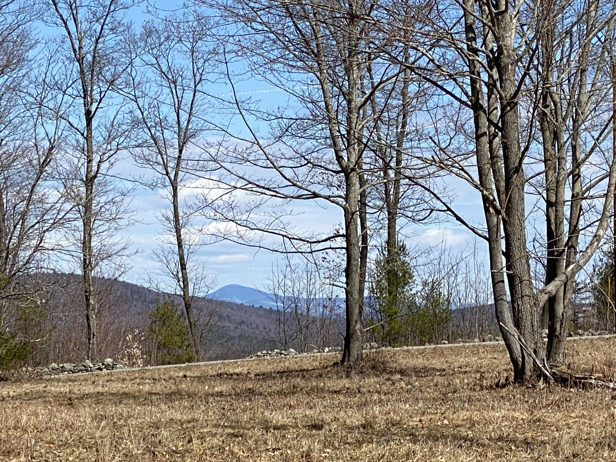 PHOTO TAKEN WHILE STANDING ON THIS LOT LOOKING BACK TOWARDS THE ROAD.