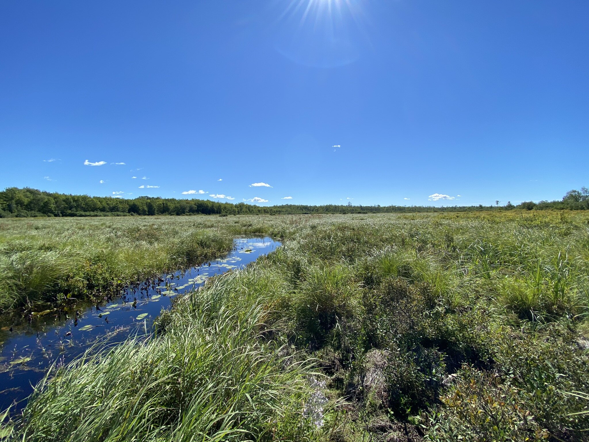 WALDOBORO 326 ACRES