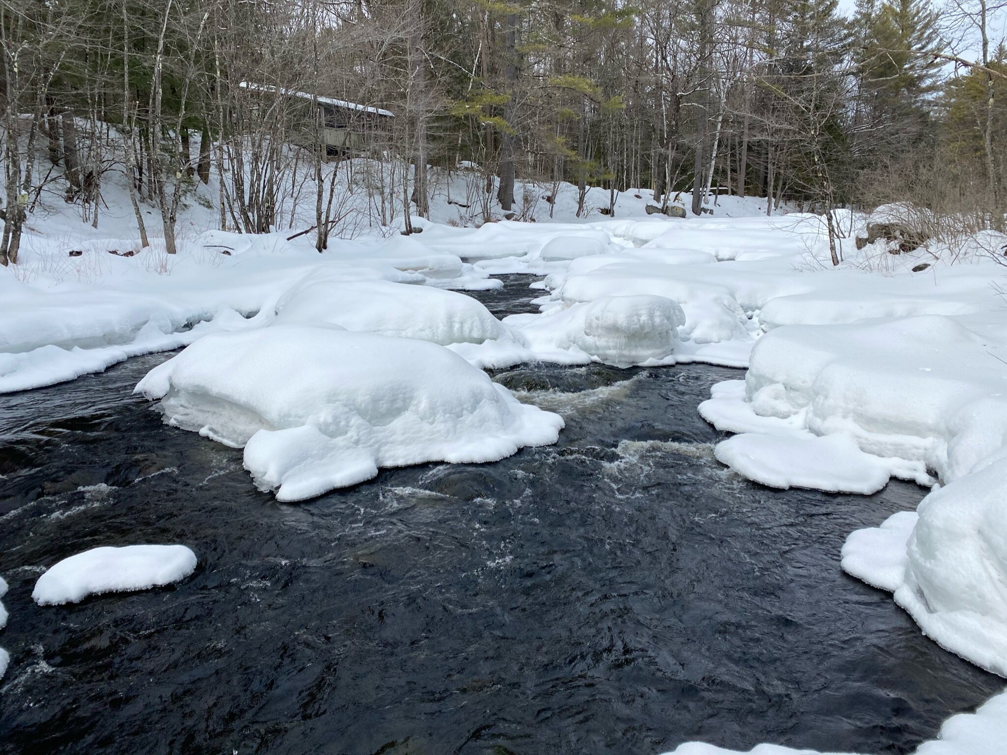 NORWAY 300 ACRES