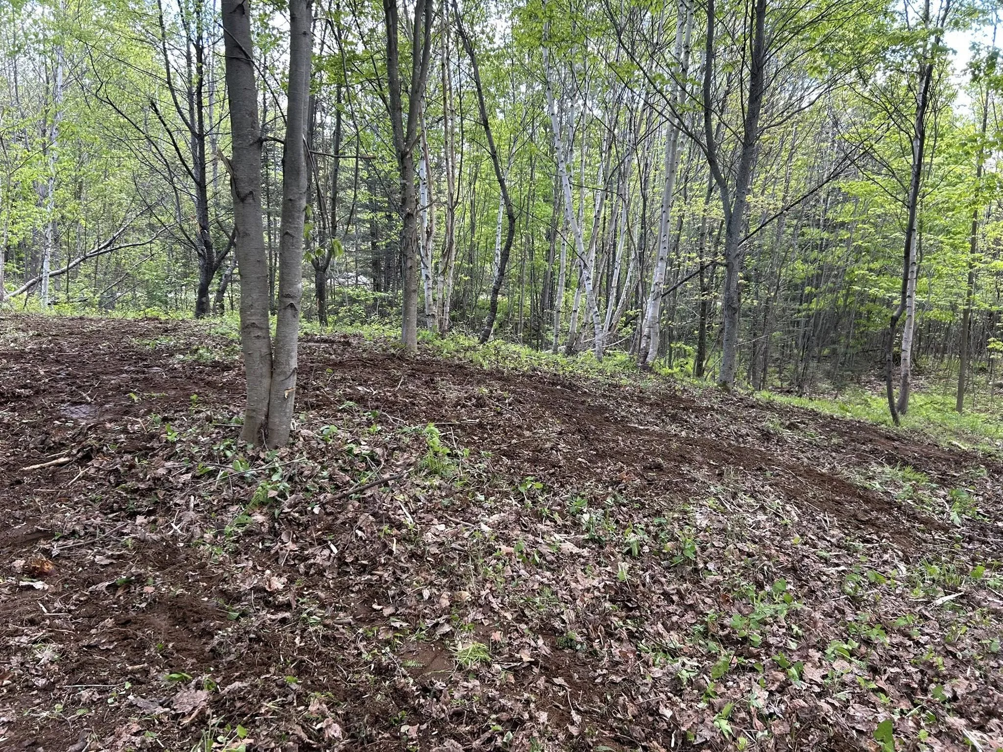 We can mulch an area to avoid the mess of brush. 
