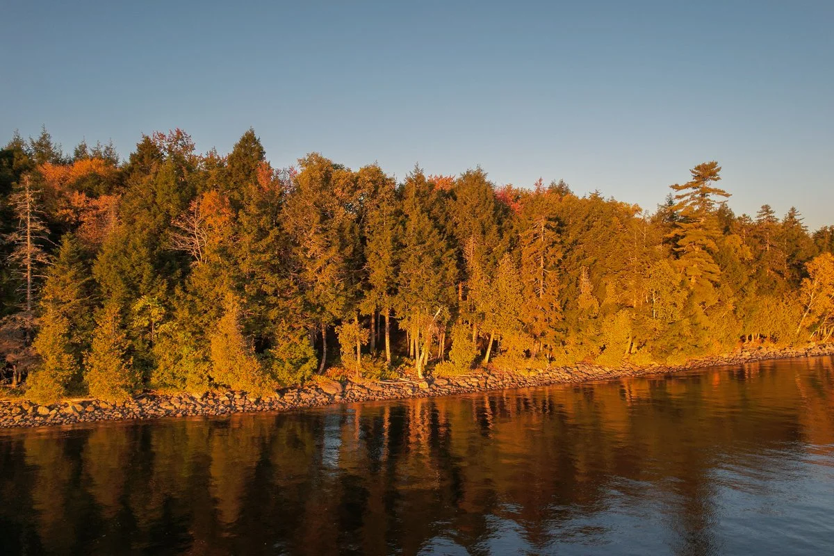 DJI_0308.jpg