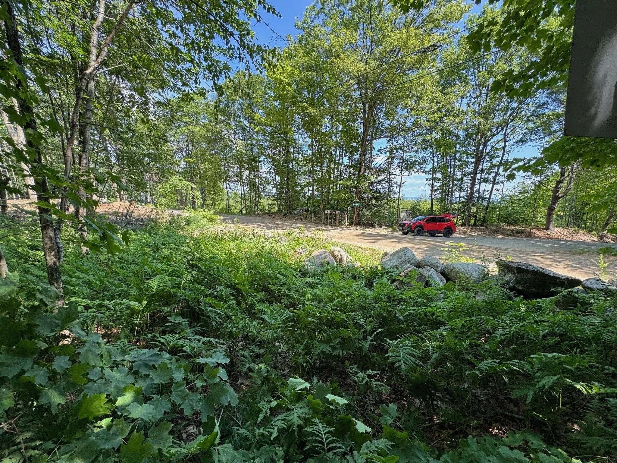 View from property