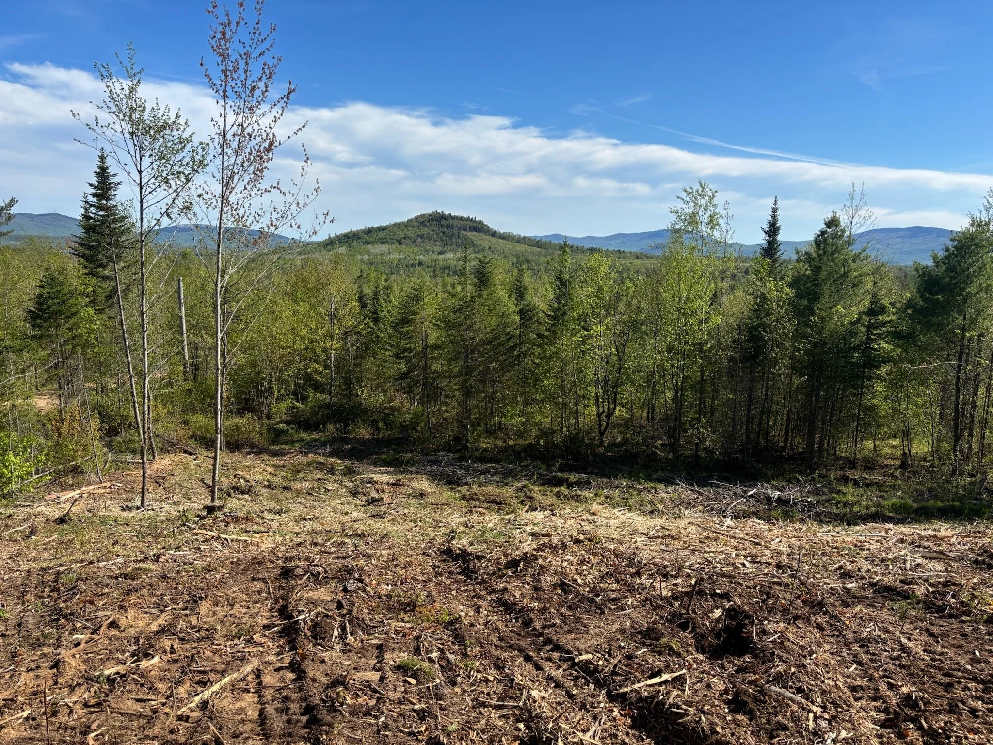 Mulching Out Views
