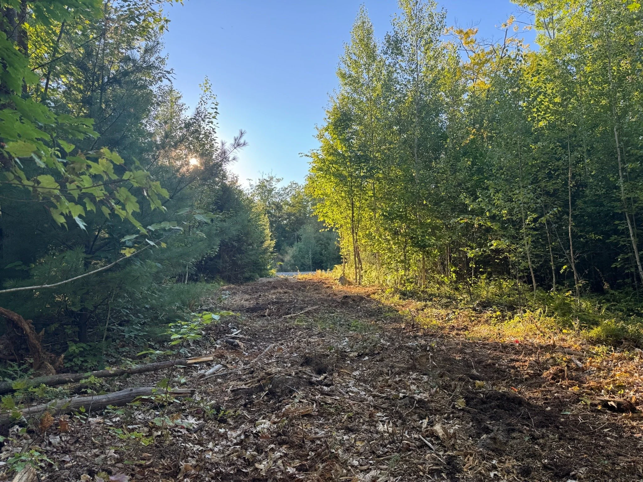 Interior Trails