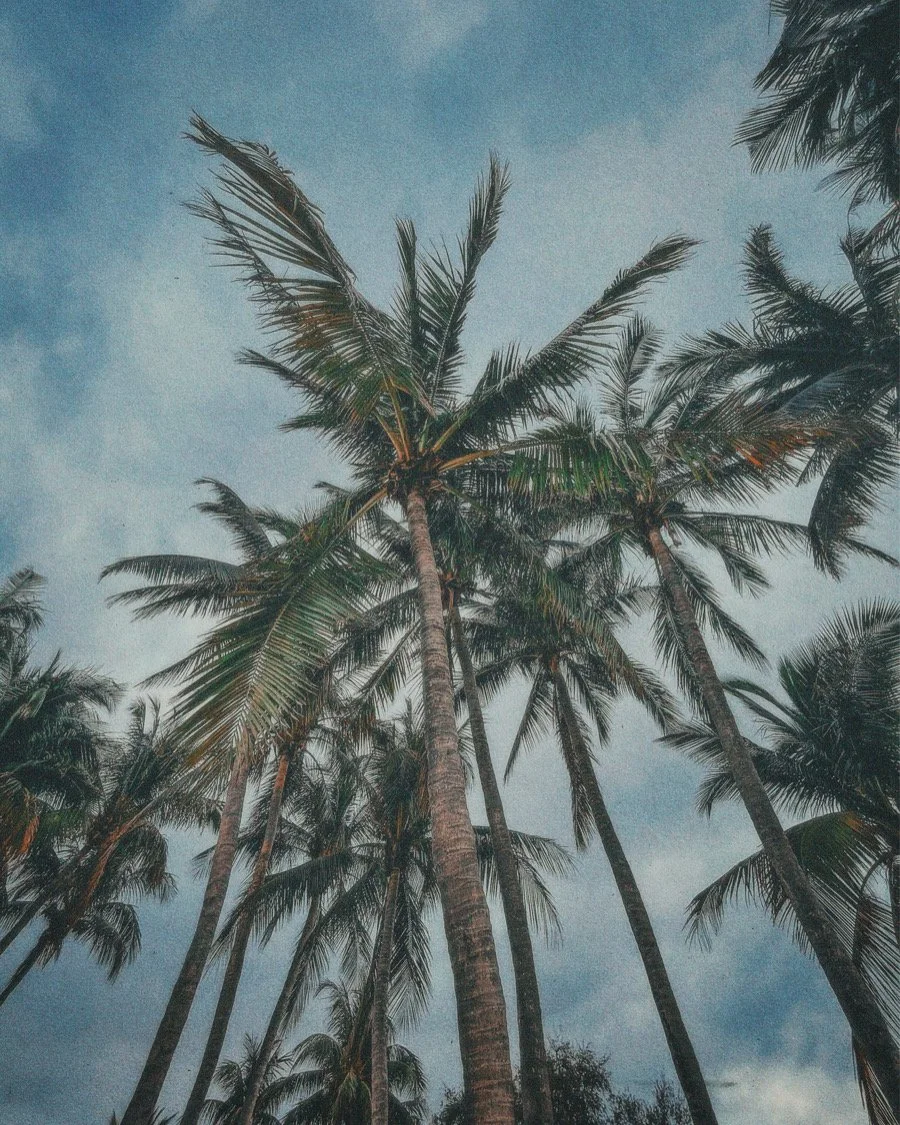 Photo Dec 17 2023, 12 20 41 PM (1).jpg