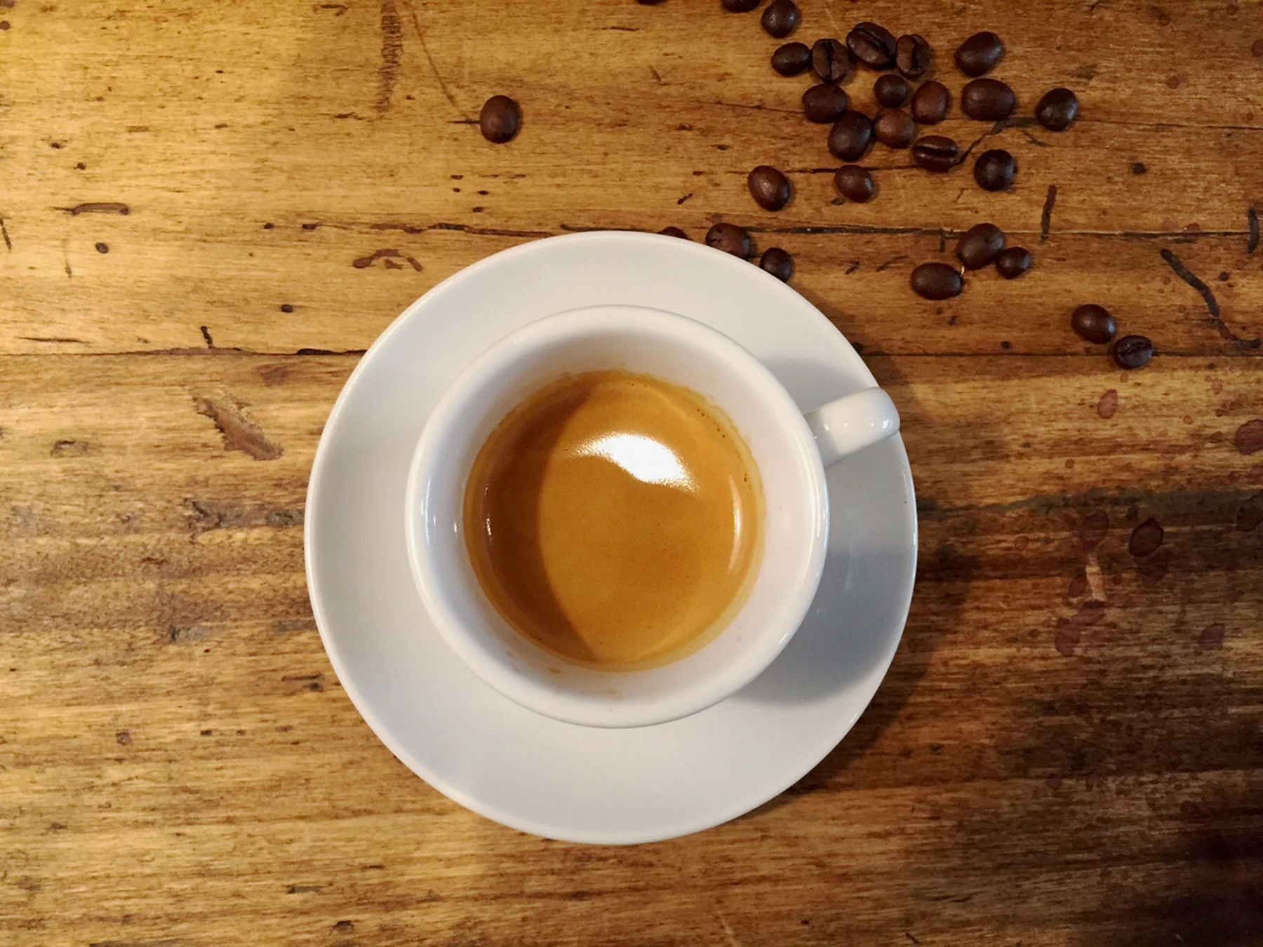 Orangutan-Espresso_Header.jpg