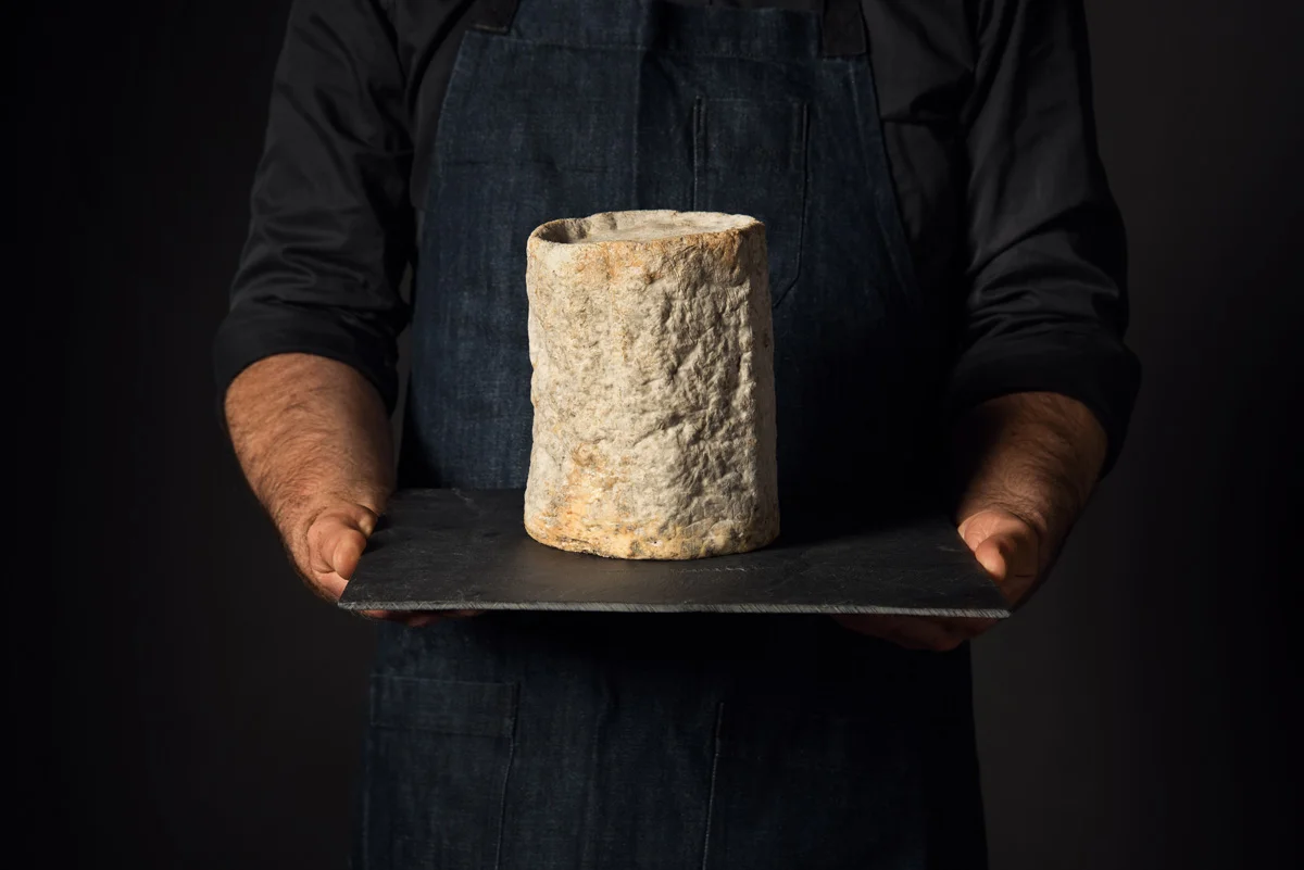 Blauschimmelkäse “Fourme d’Ambert AOP” aus Frankreich