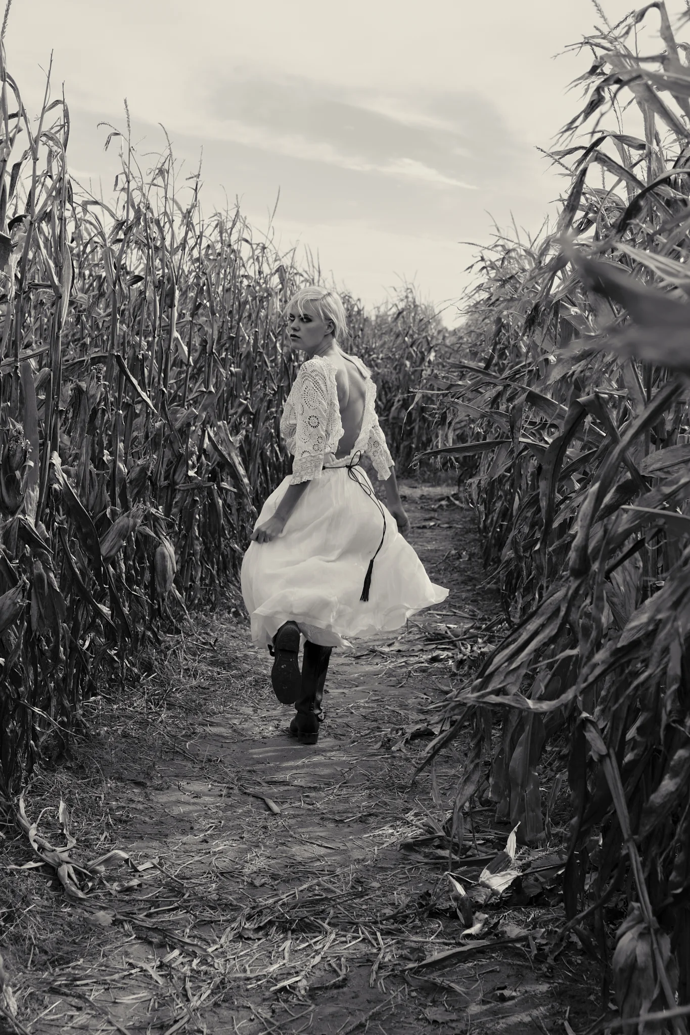 YV_101618_Orchard3686.jpg