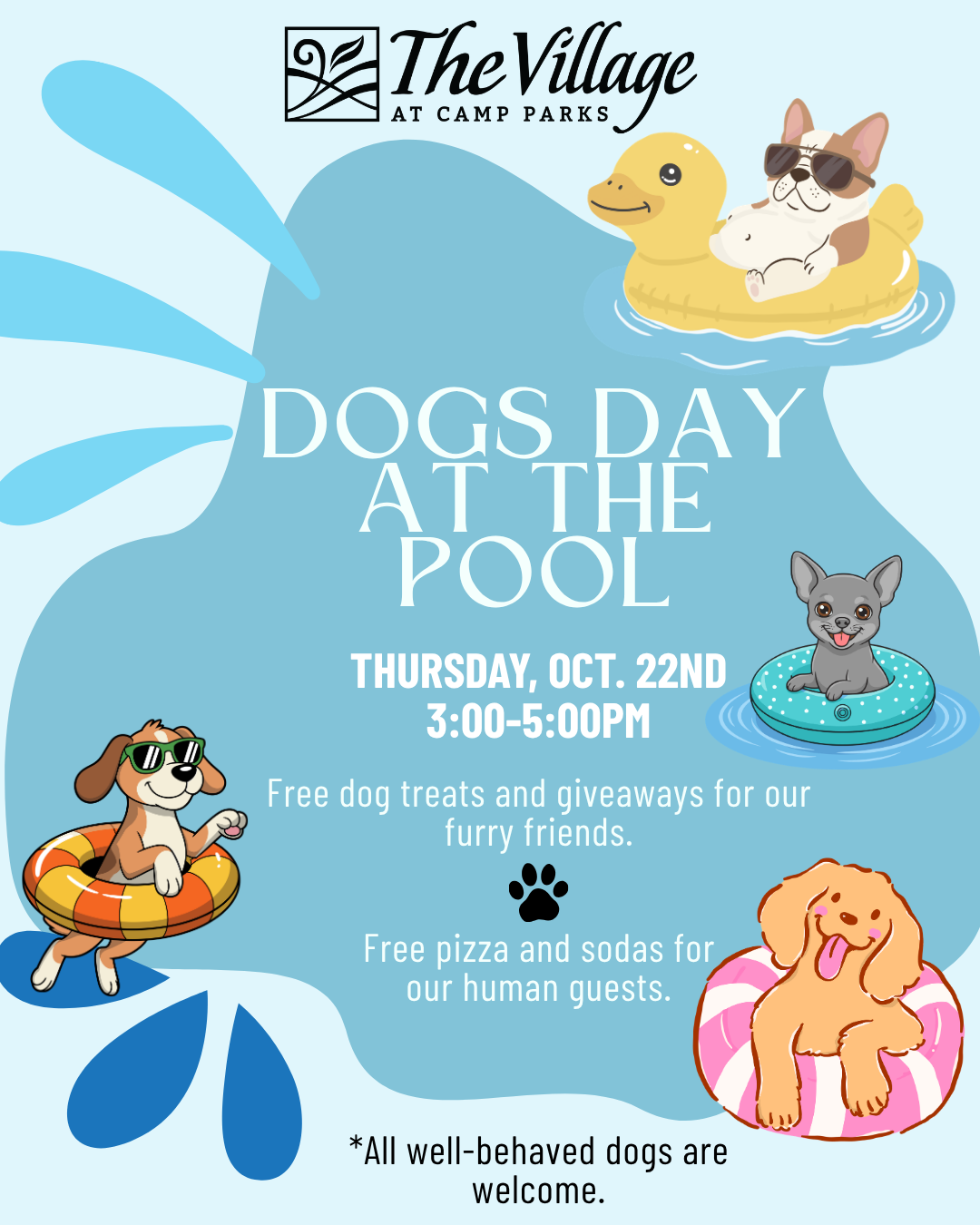 Dogs Day at The Pool