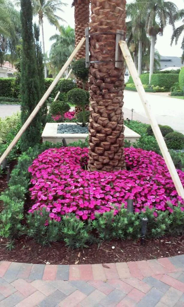 Custom Gardens of Florida